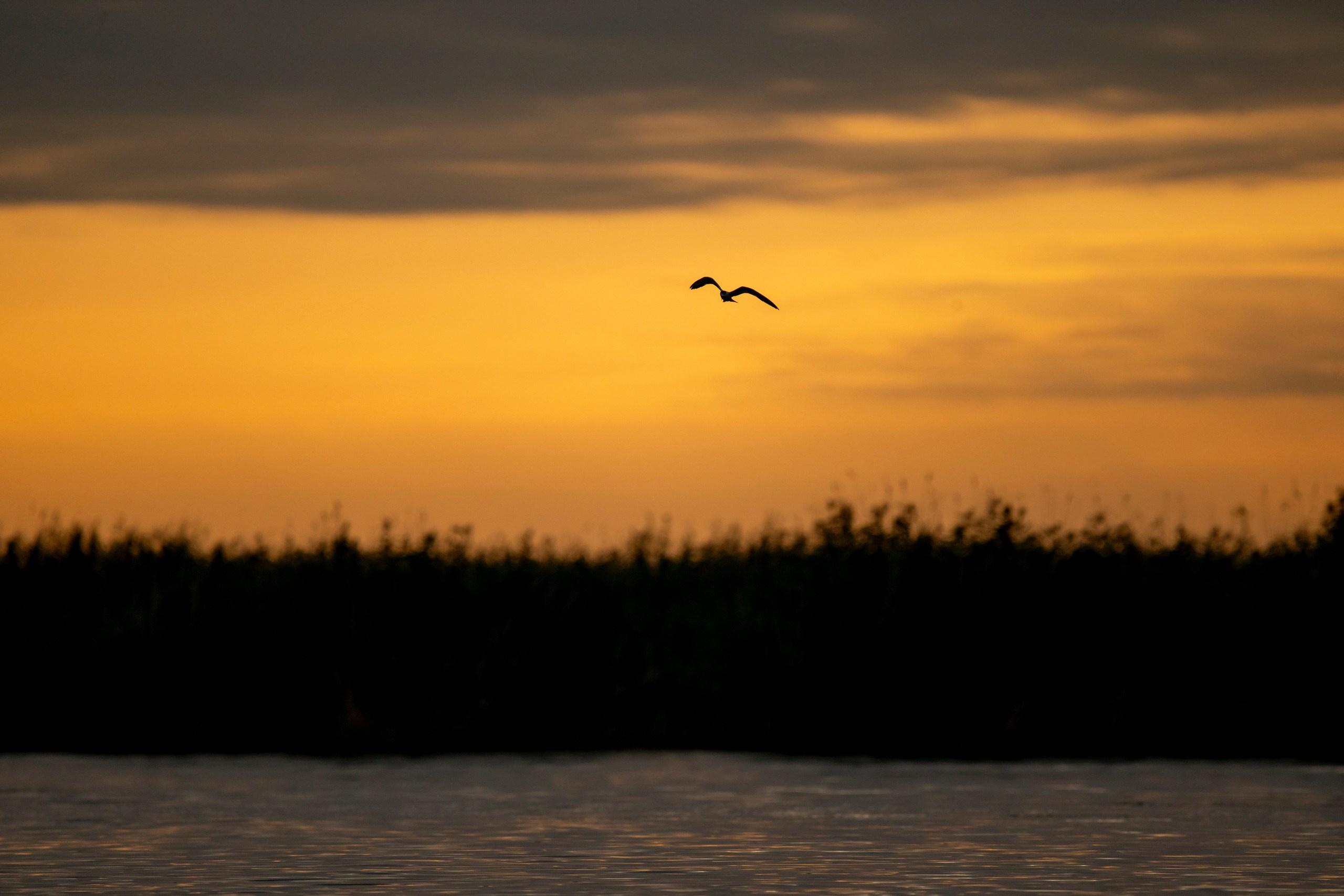 Природа Дагестана, сентябрь 2024. Foto-Zuev фотография как искусство