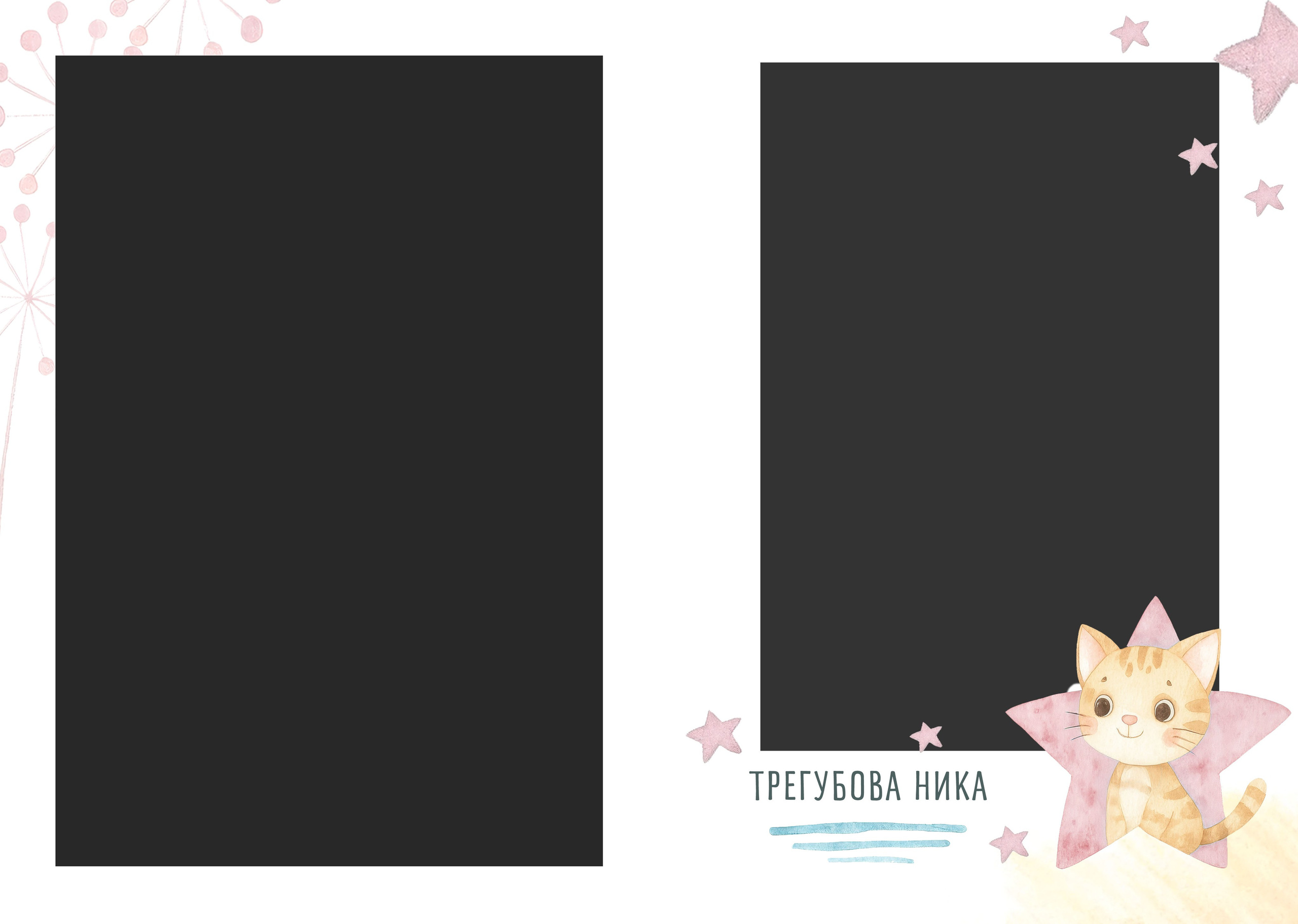 Котики. Семейный и детский фотограф в Слониме Беларусь Вероника Грипич