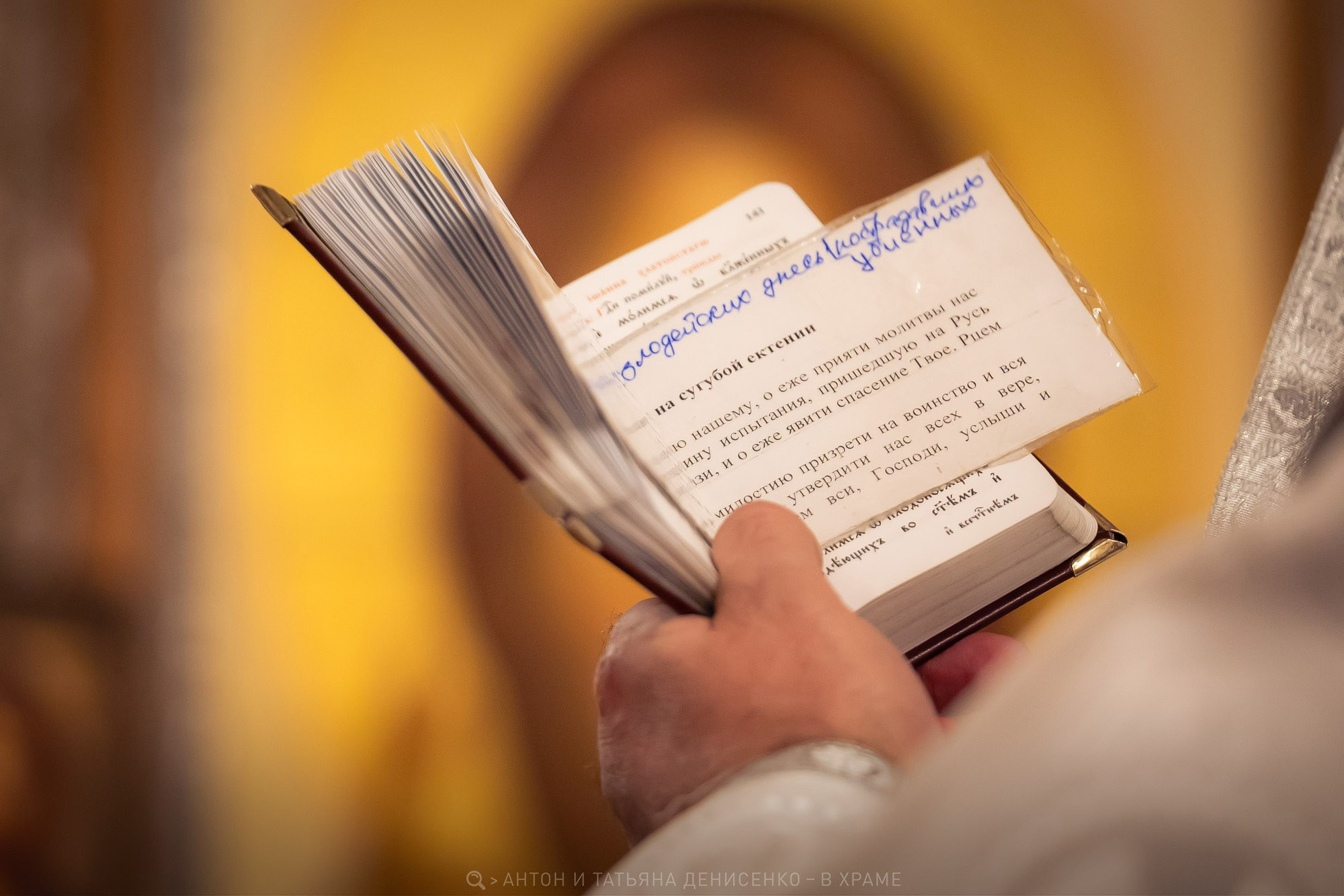 Храм Алексия Мечева в Вешняках. Рождество Христово. Антон и Татьяна Денисенко — В храме