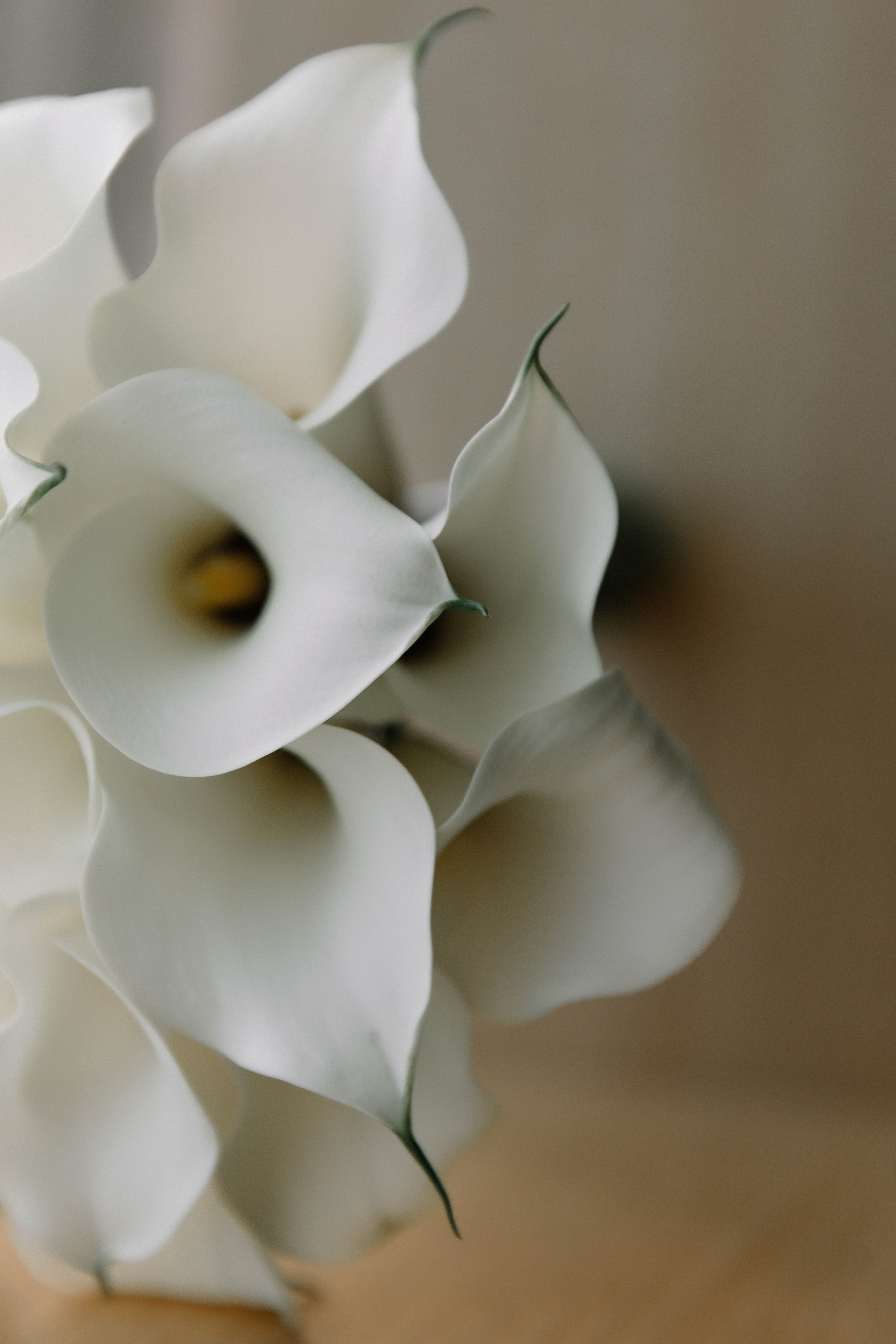 S & V. Свадебный фотограф Алина Хабарова