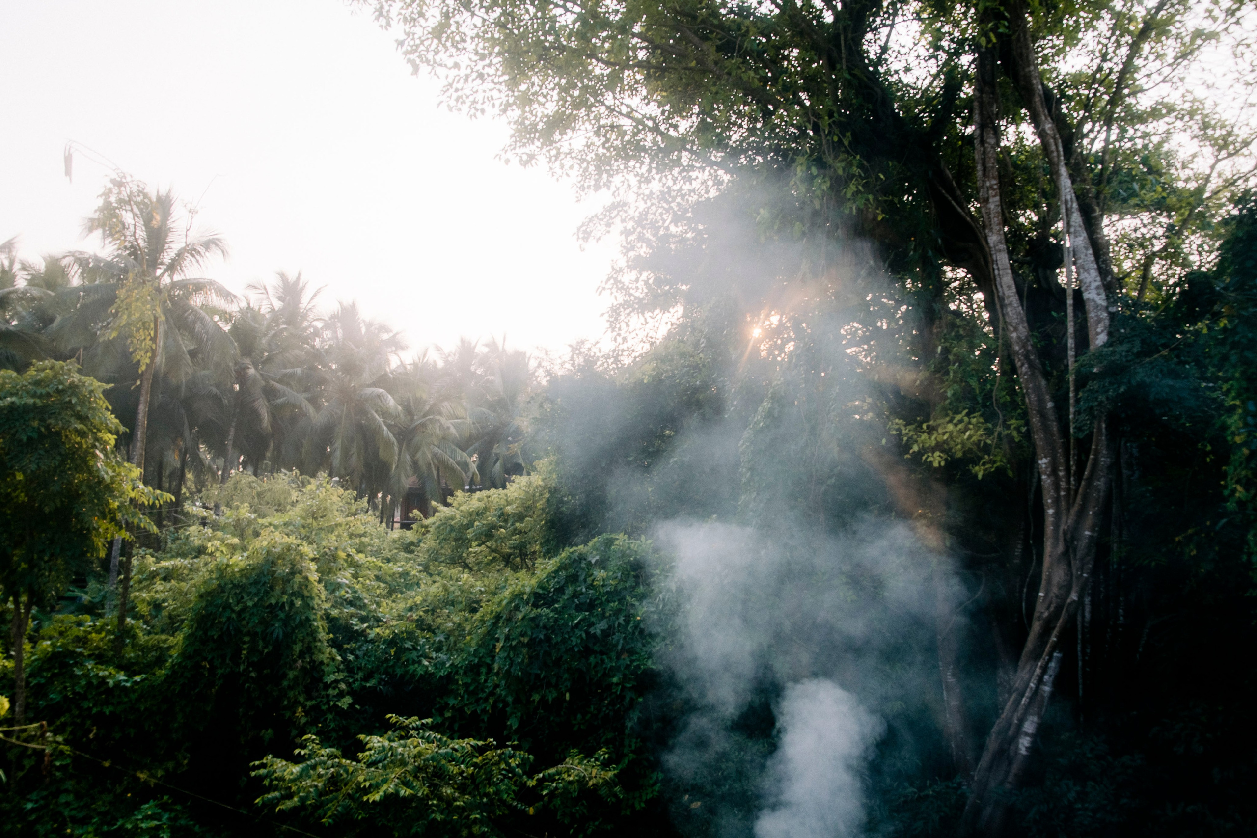 Гоа. индия. Iraogo