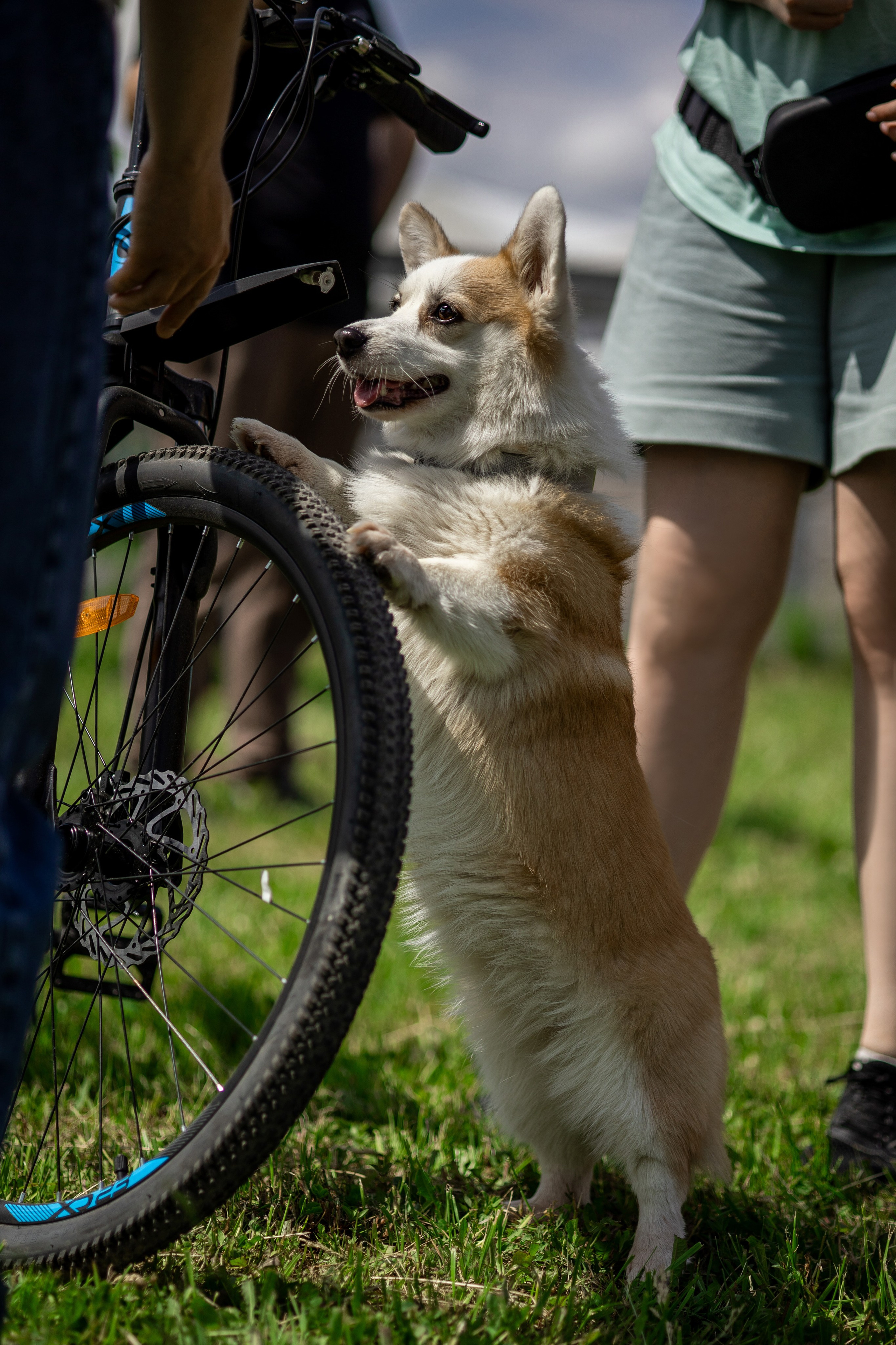 Репортаж по Ноузворку. Анастасия Белаш