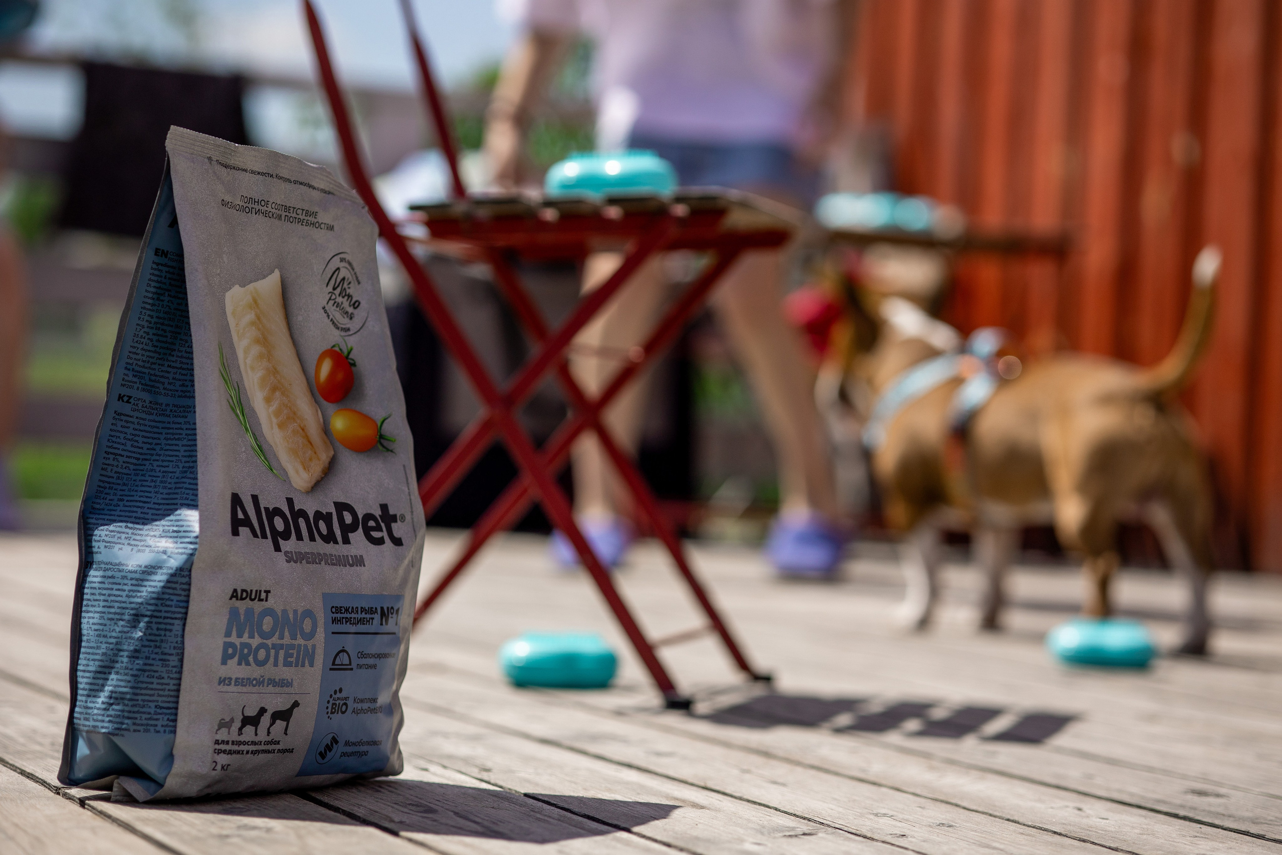 Корм AlphaPet. Анастасия Белаш