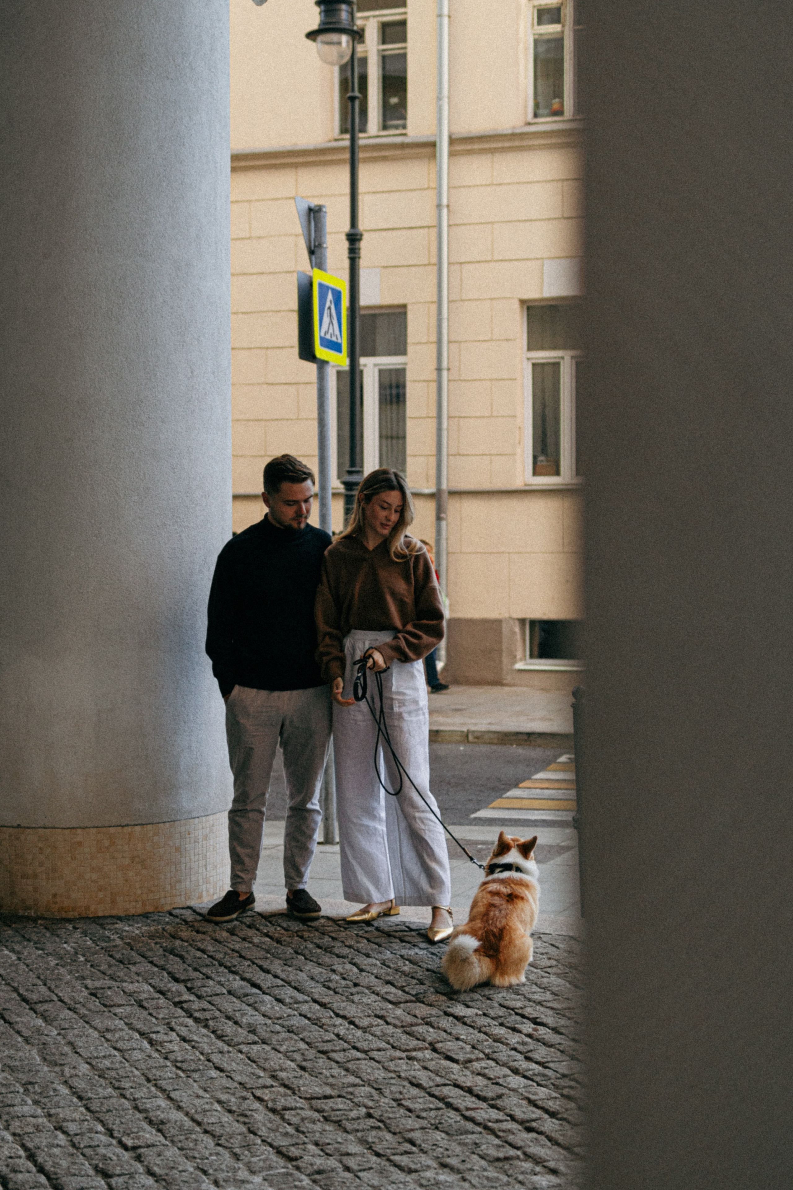 Даша, Рома и Лесли. Фотораф — анималист Мария Шистка