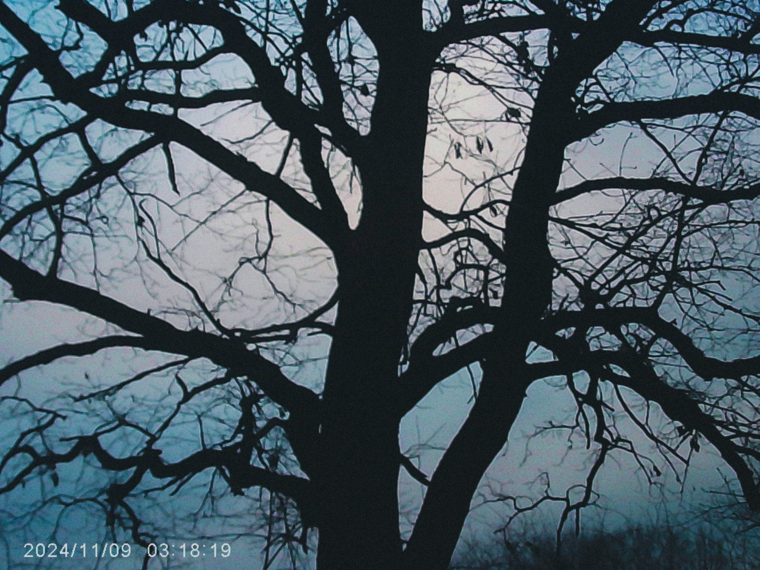 W&o q3. Анна Мильч