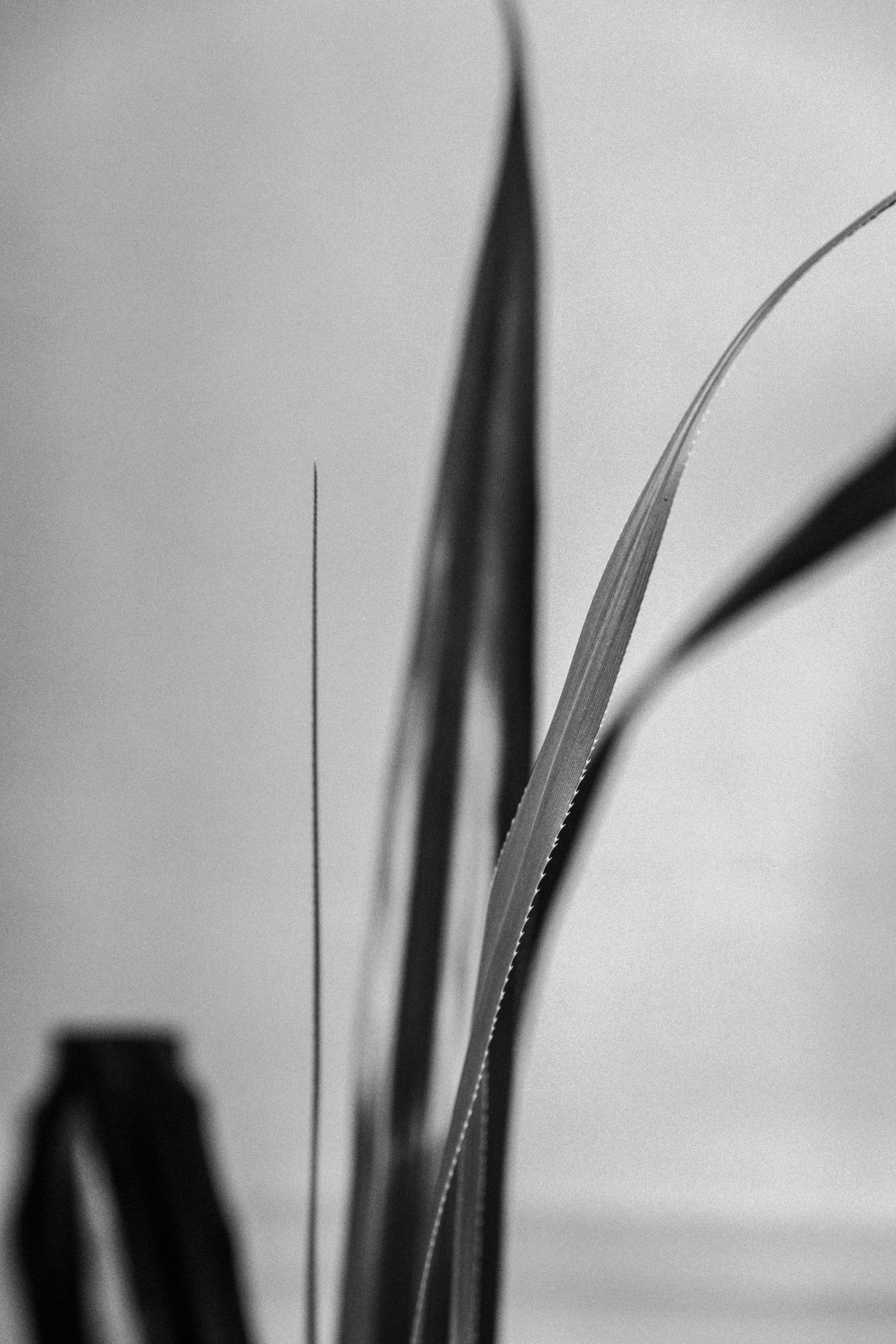 Юля. Свадебный и портретный фотограф в Новокузнецке Екатерина Авдеева