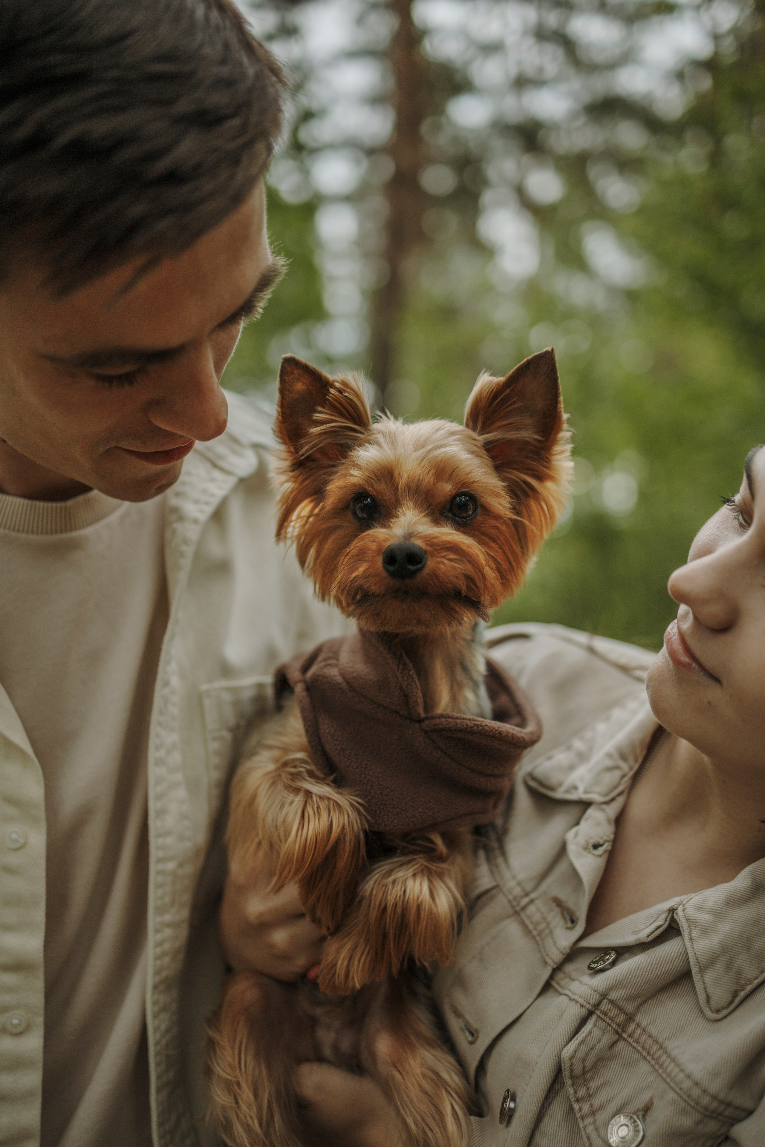 День из жизни Чуи и его семьи. Фотограф-анималист в Санкт-Петеребурге Титова Алиса
