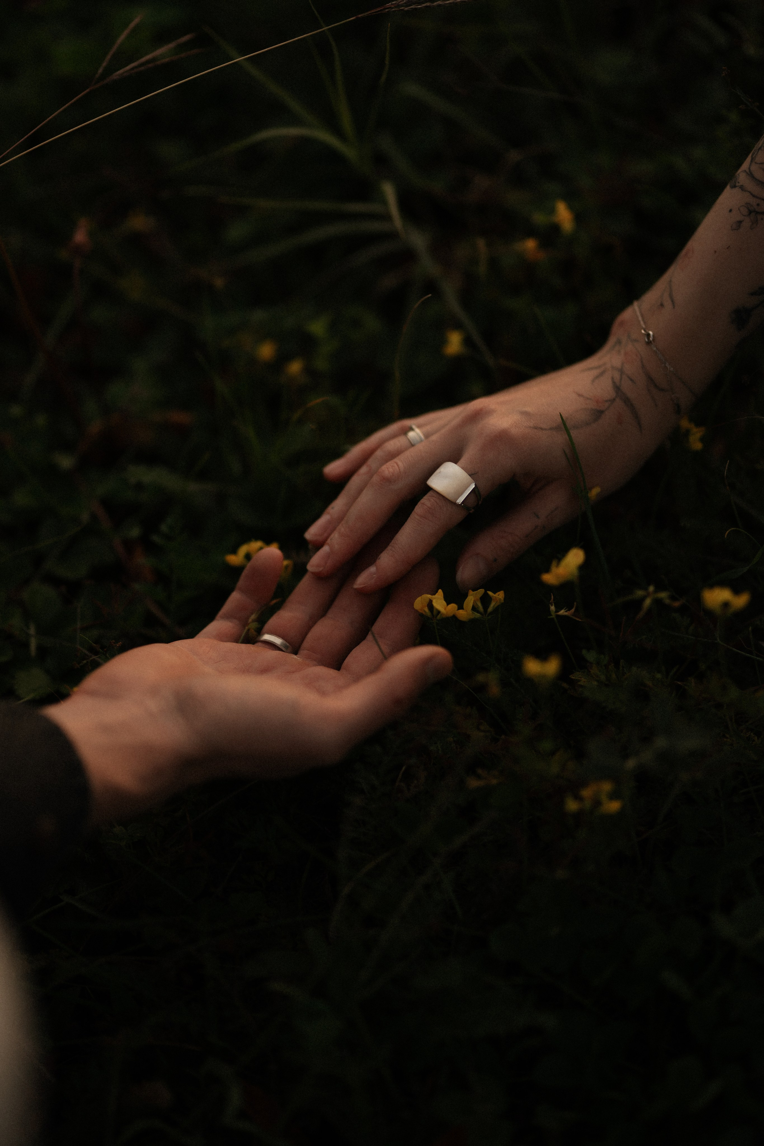 Дима и Алина. Фотограф Нэля Хаматова