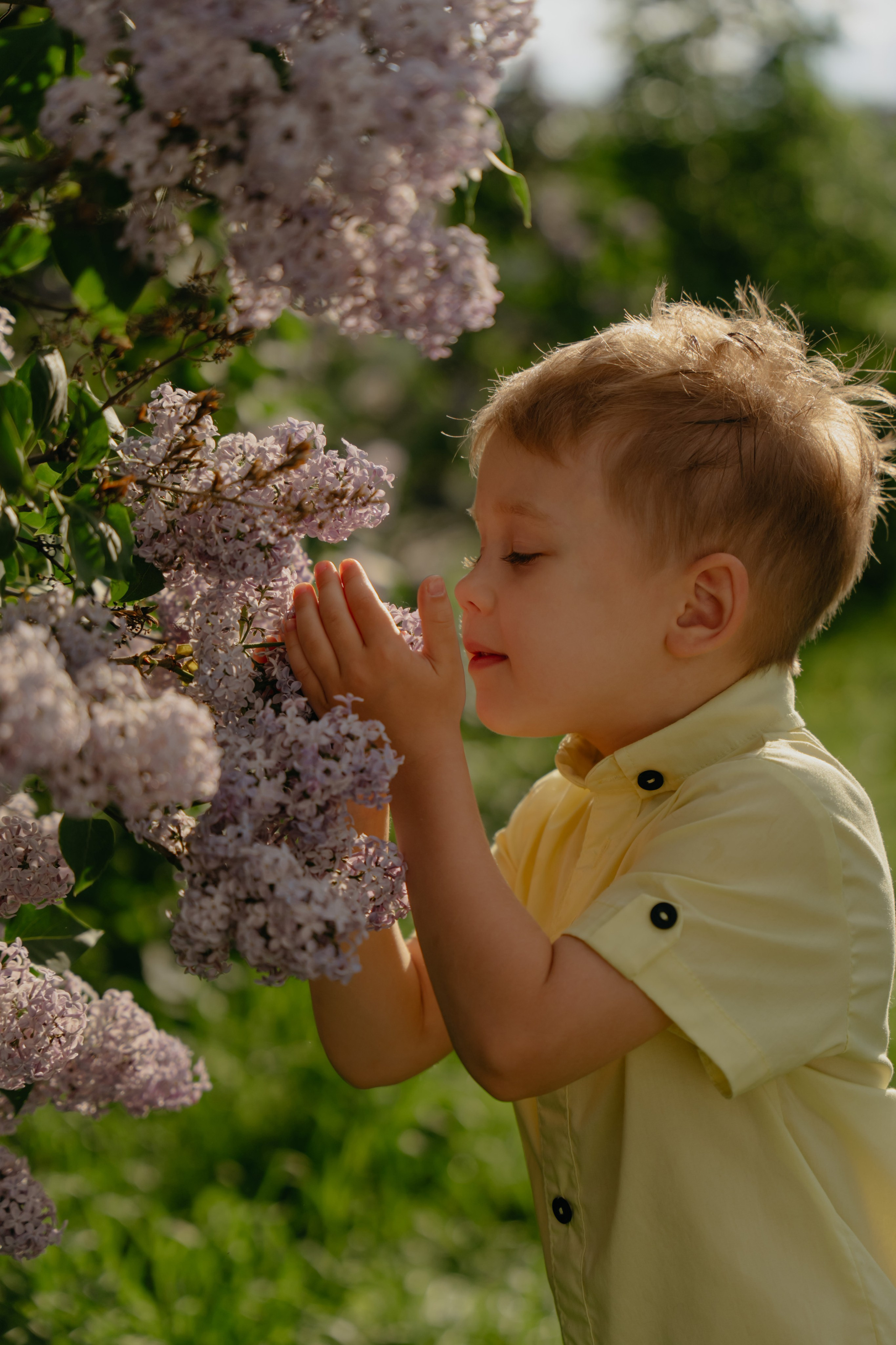 Сиреневое настроение