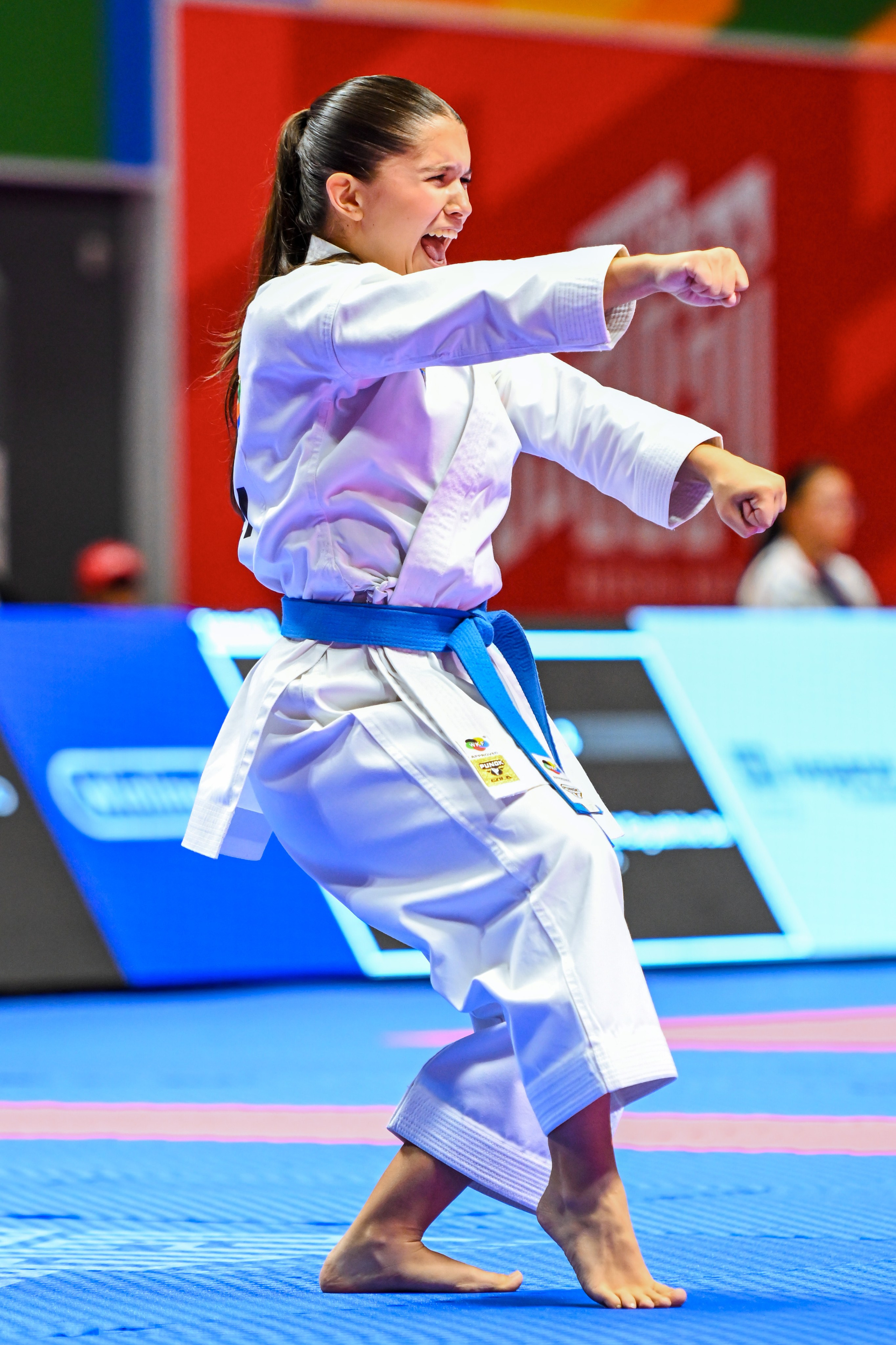 Каратэ «Спортивные игры стран БРИКС». Спортивный и репортажный фотограф в Казани Вячеслав Сатонин