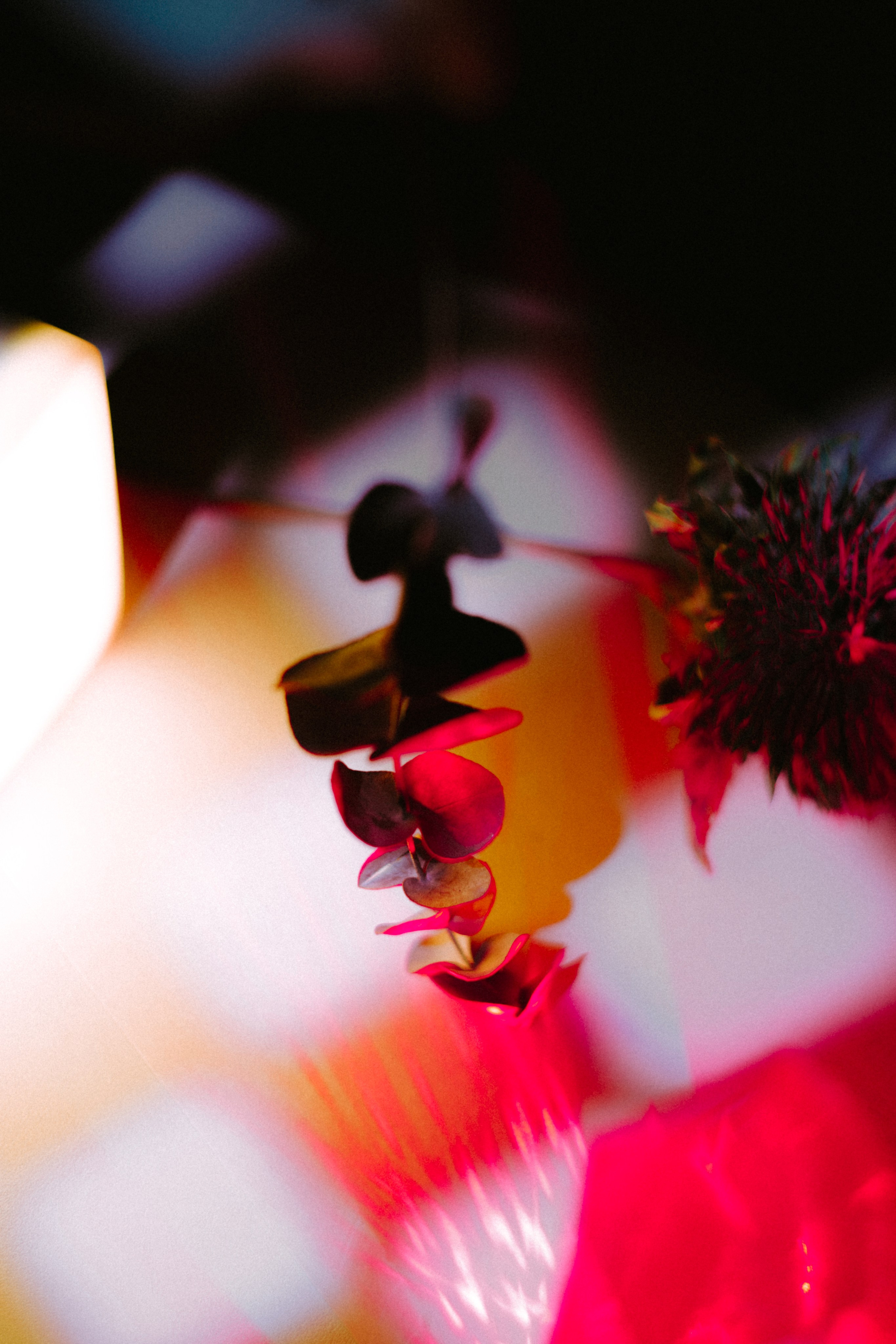 Вдохновение. Ph___tina