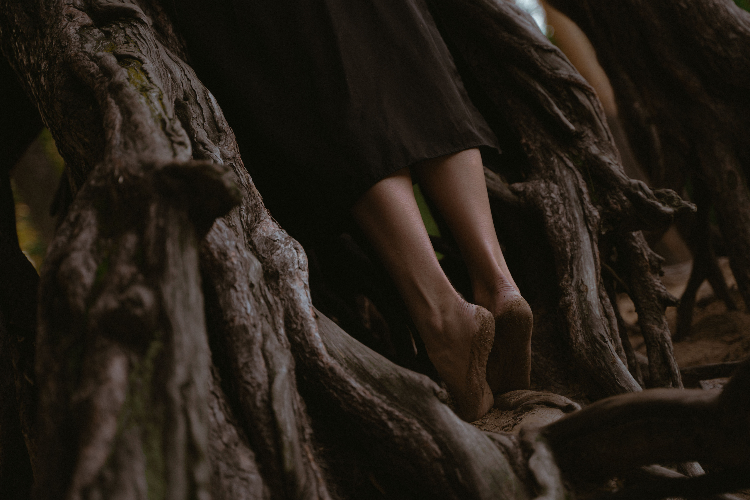 Фотограф, оператор, режиссер монтажа в Москве Сюзанна Евсюкова