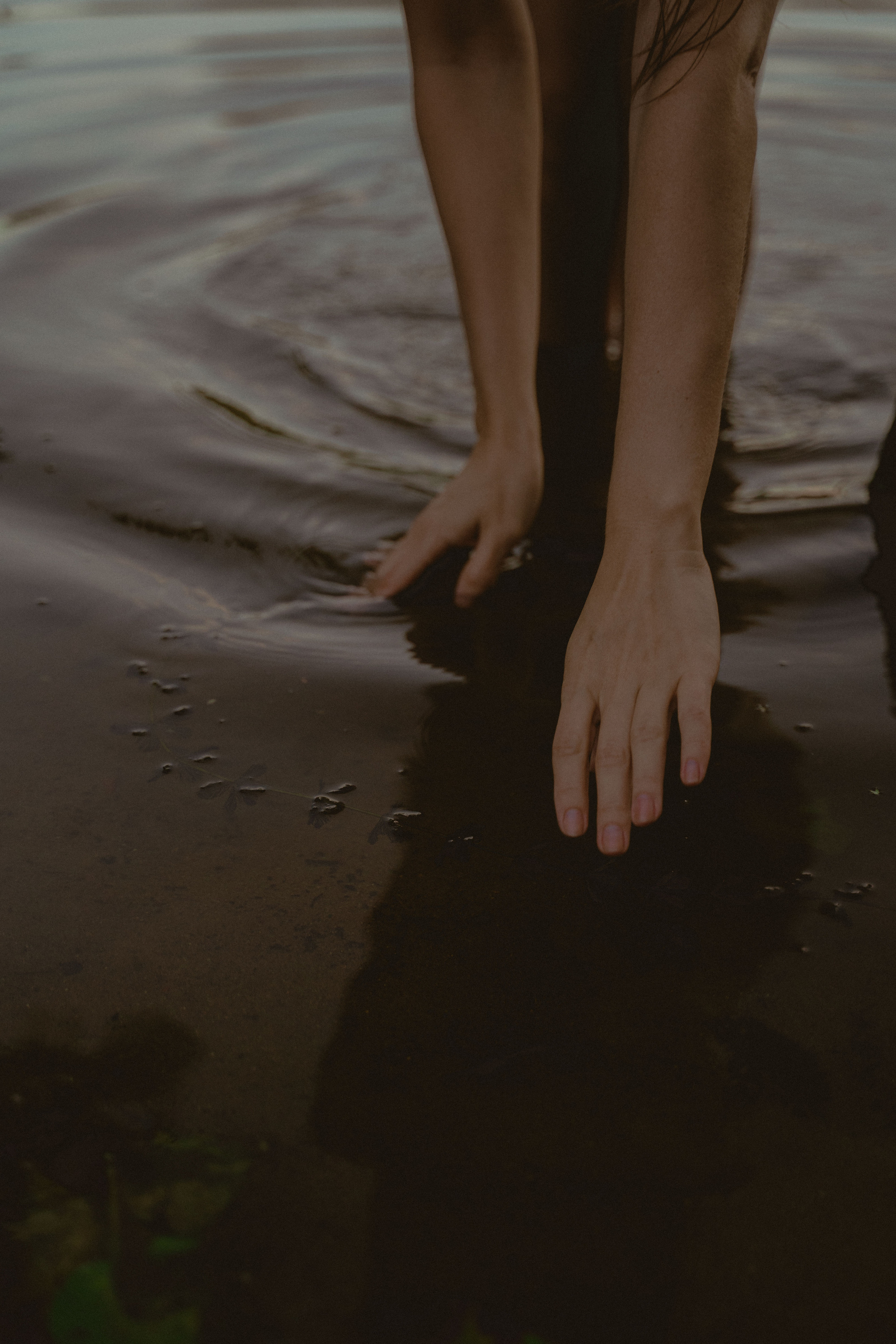 Фотограф, оператор, режиссер монтажа в Москве Сюзанна Евсюкова