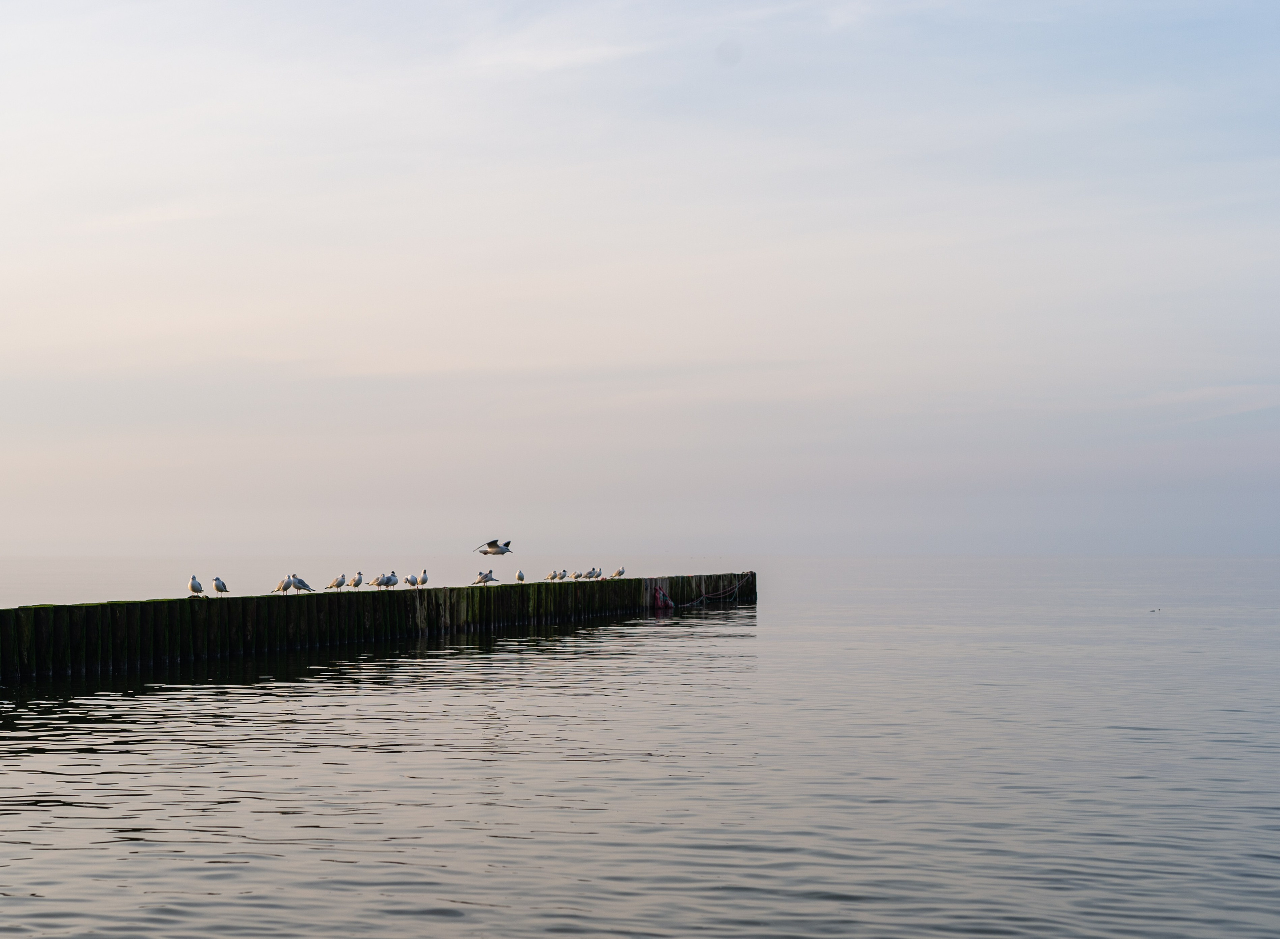Пейзажи и архитектура. Коммерческий фотограф в Москве Садовников Алексей