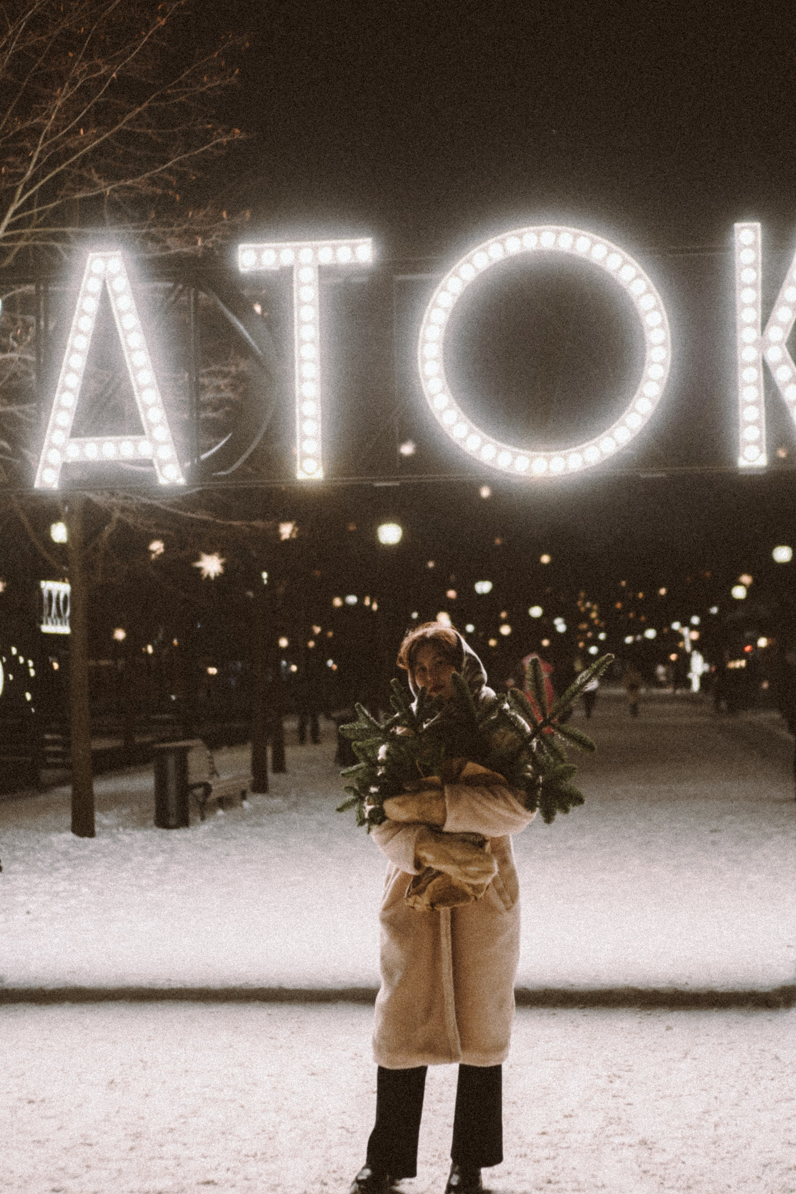 Зимняя сказка в Новой Голандии. Профессиональный фотограф, Санкт-Петербург — Виктория Богомолова