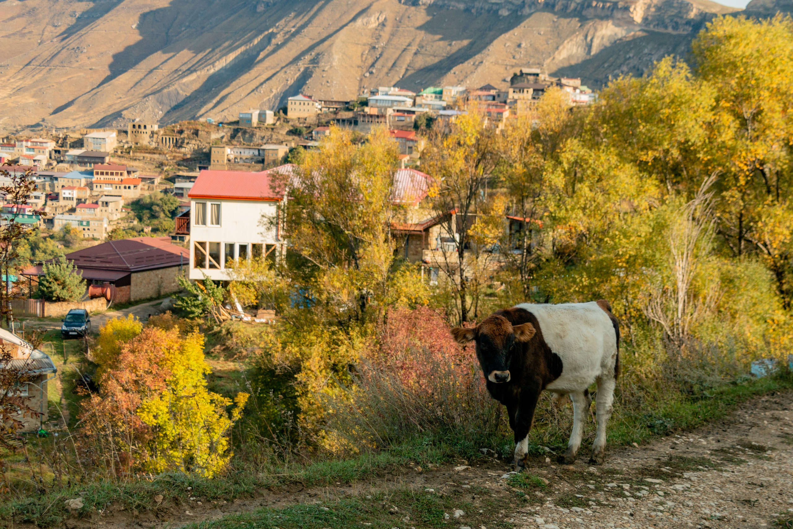 Дагестан. Фотограф в Сочи