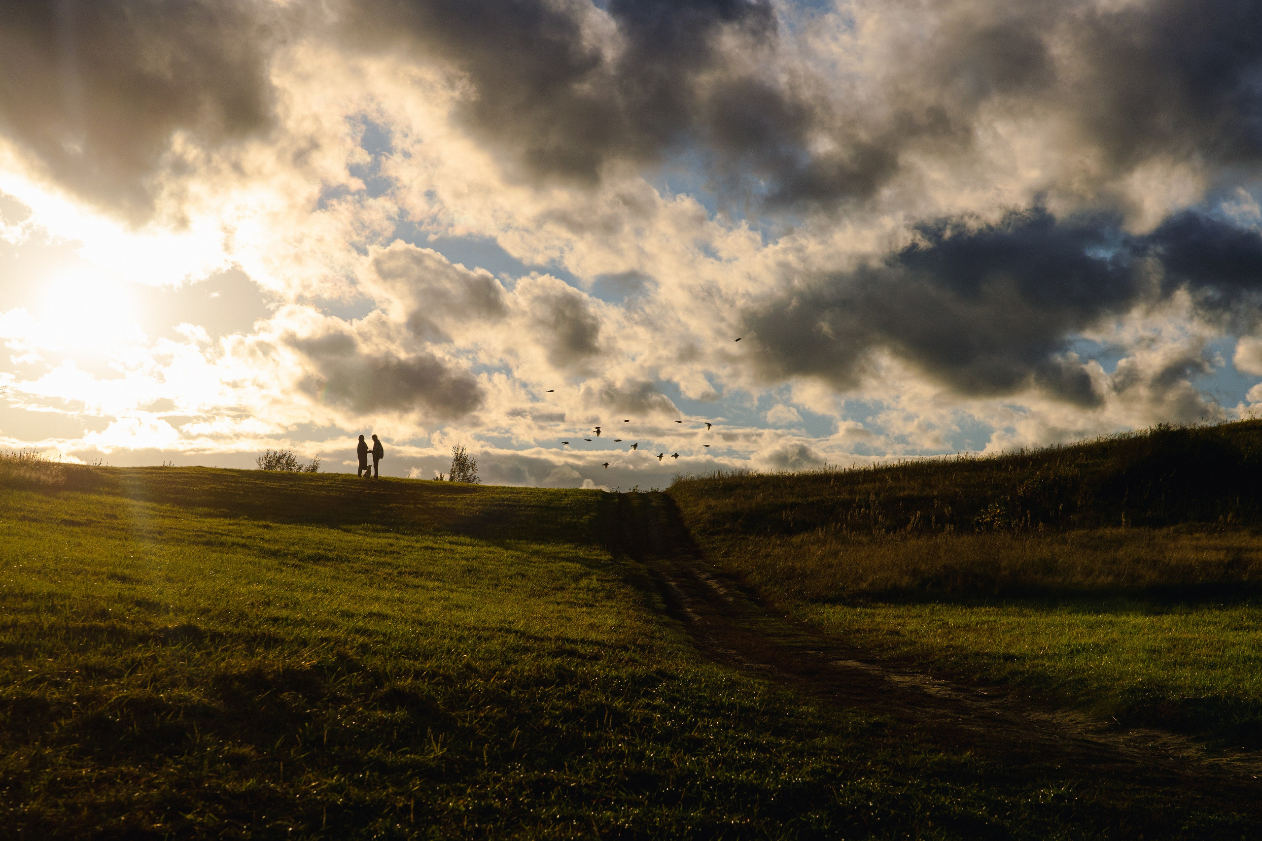 Трое, считая собаку. Wed Photographers 📷 Saint Petersburg