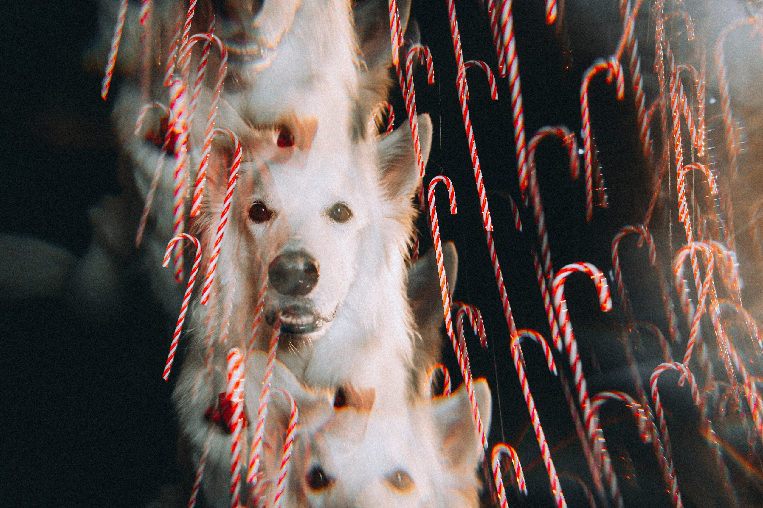 Джек, Бет и Кову