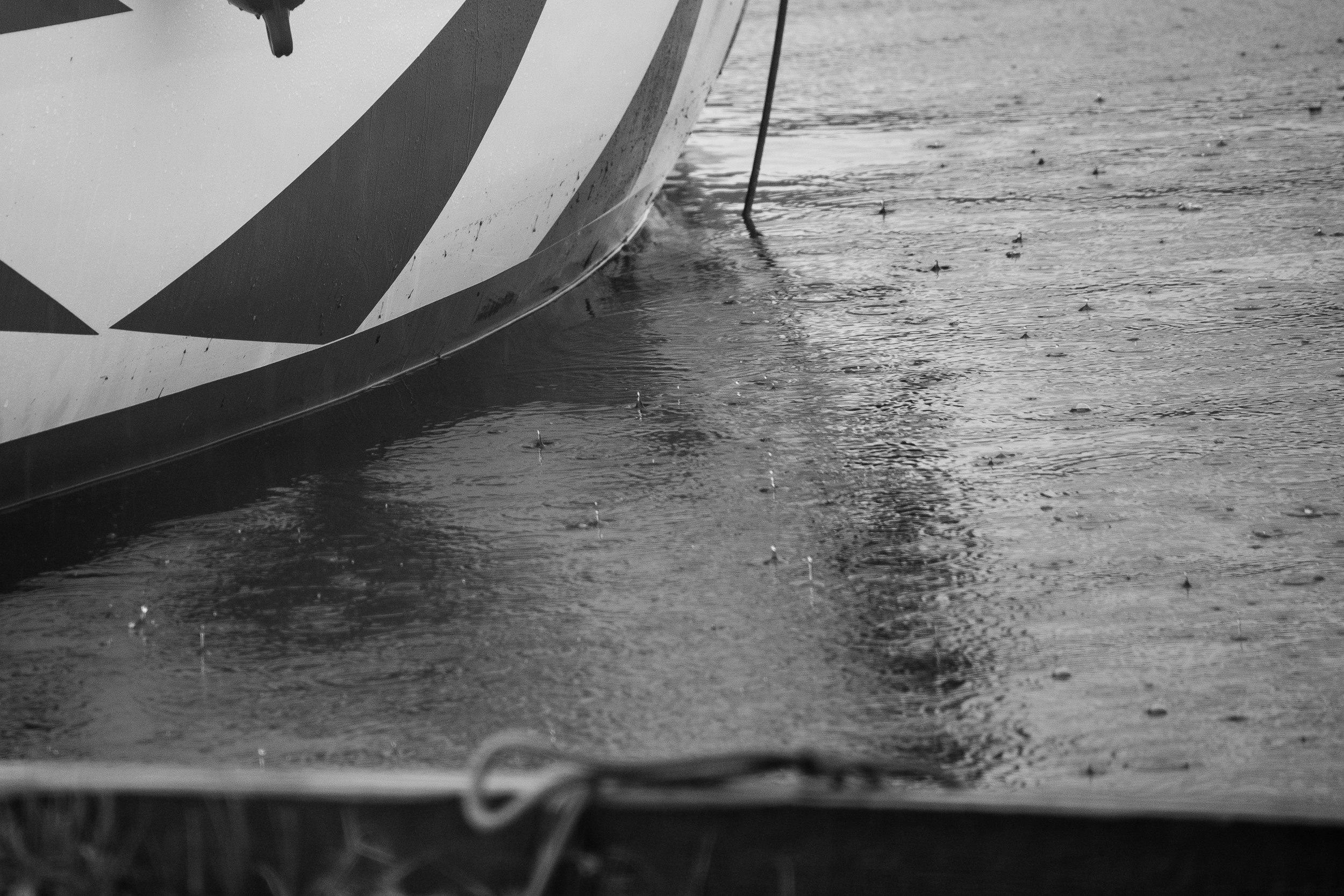 Выпускной. Фомина Елена Свадебный и семейный фотограф