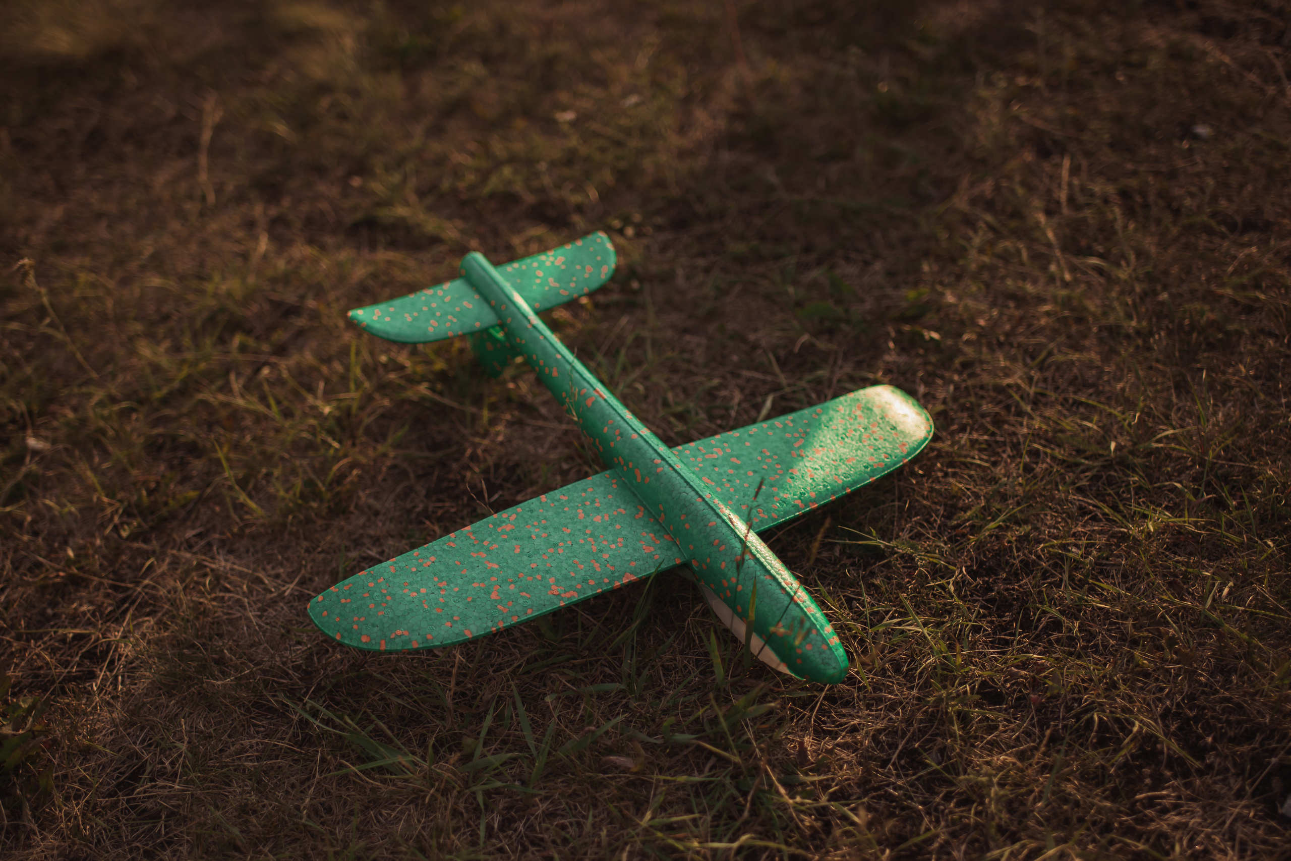 Семейная фотосессия в Логиново. Фомина Елена Свадебный и семейный фотограф