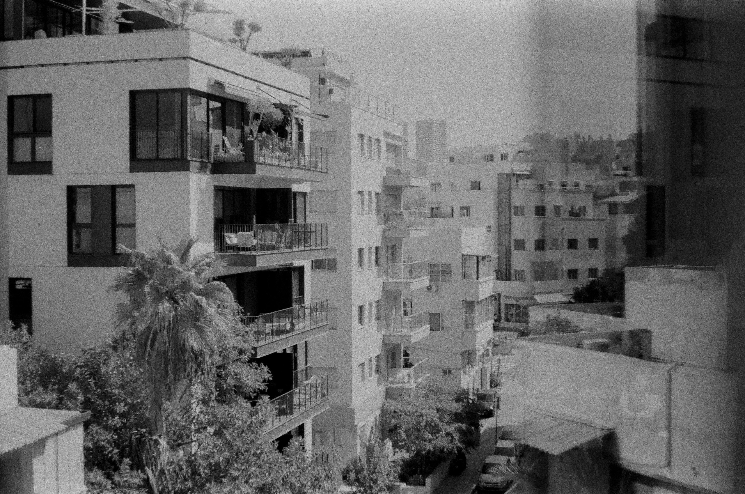 Israel 2025. Свадебный и портретный фотограф в Санкт-Петербурге