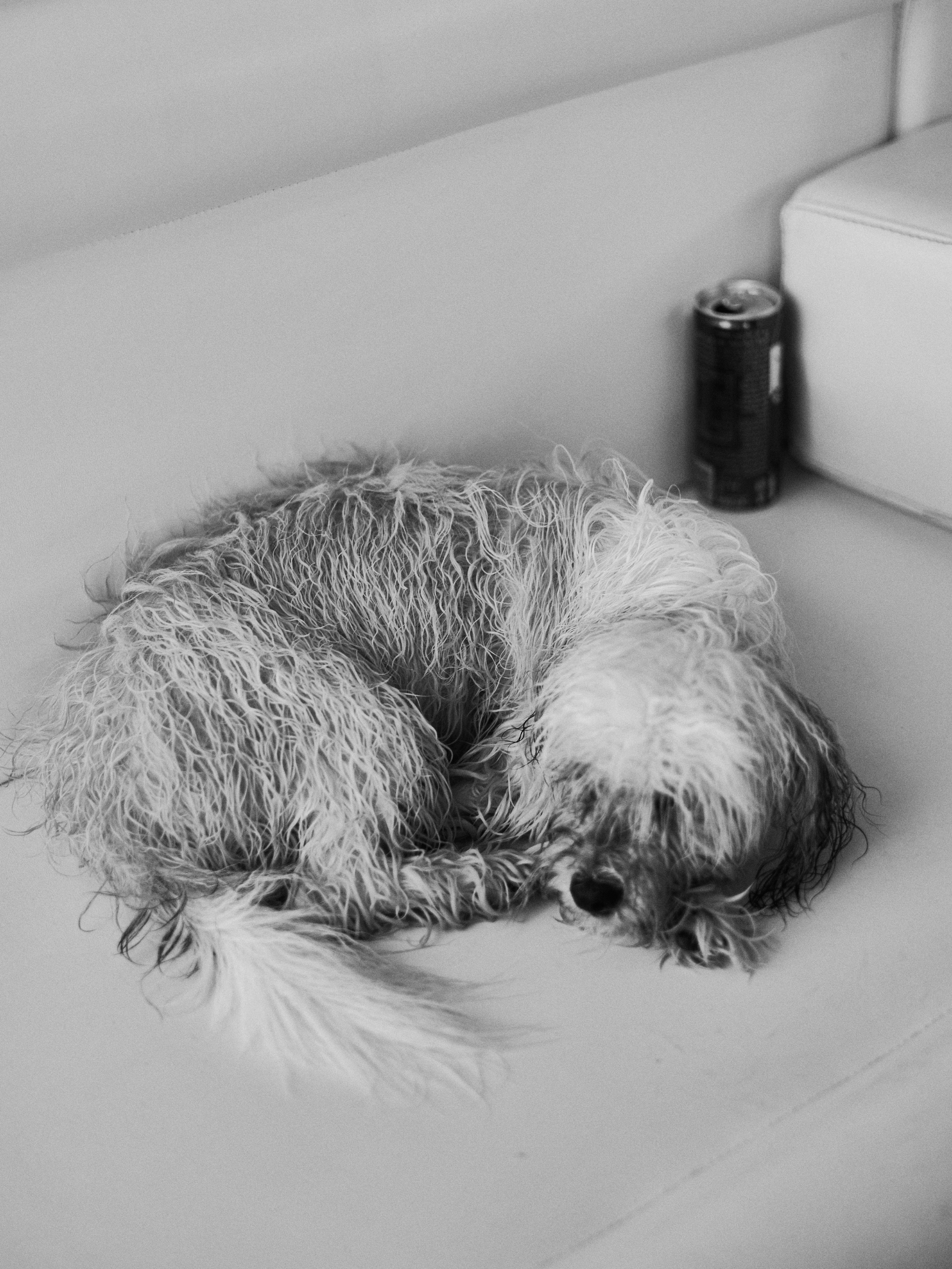 Другое 3. Jorgis Talè — photographer, kind person, teacher of arts and other mag