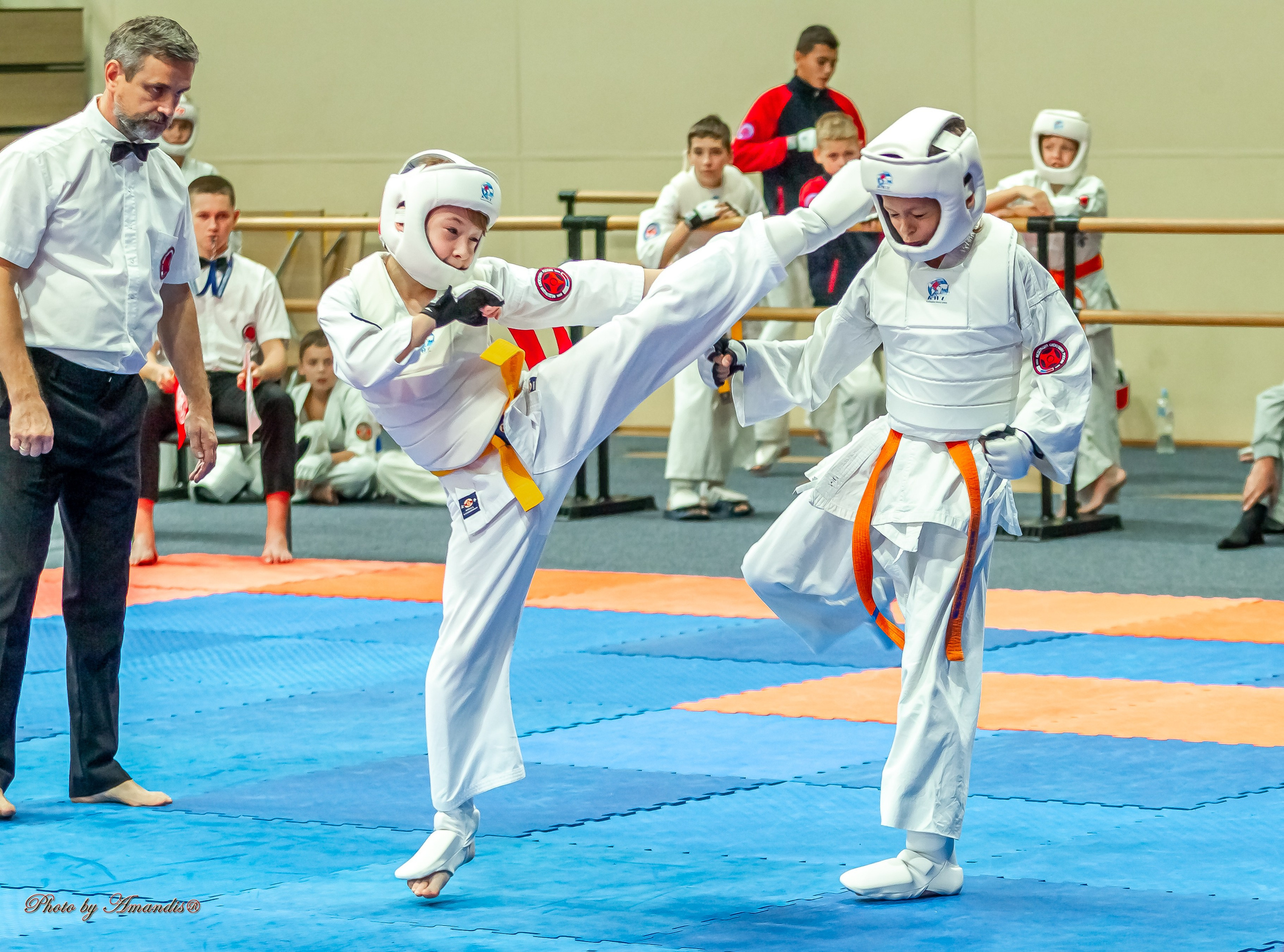 Первенство Московской области по Киокушин в СК «Жаворонки». Репортажная съемка в Москве и области. Анималистика