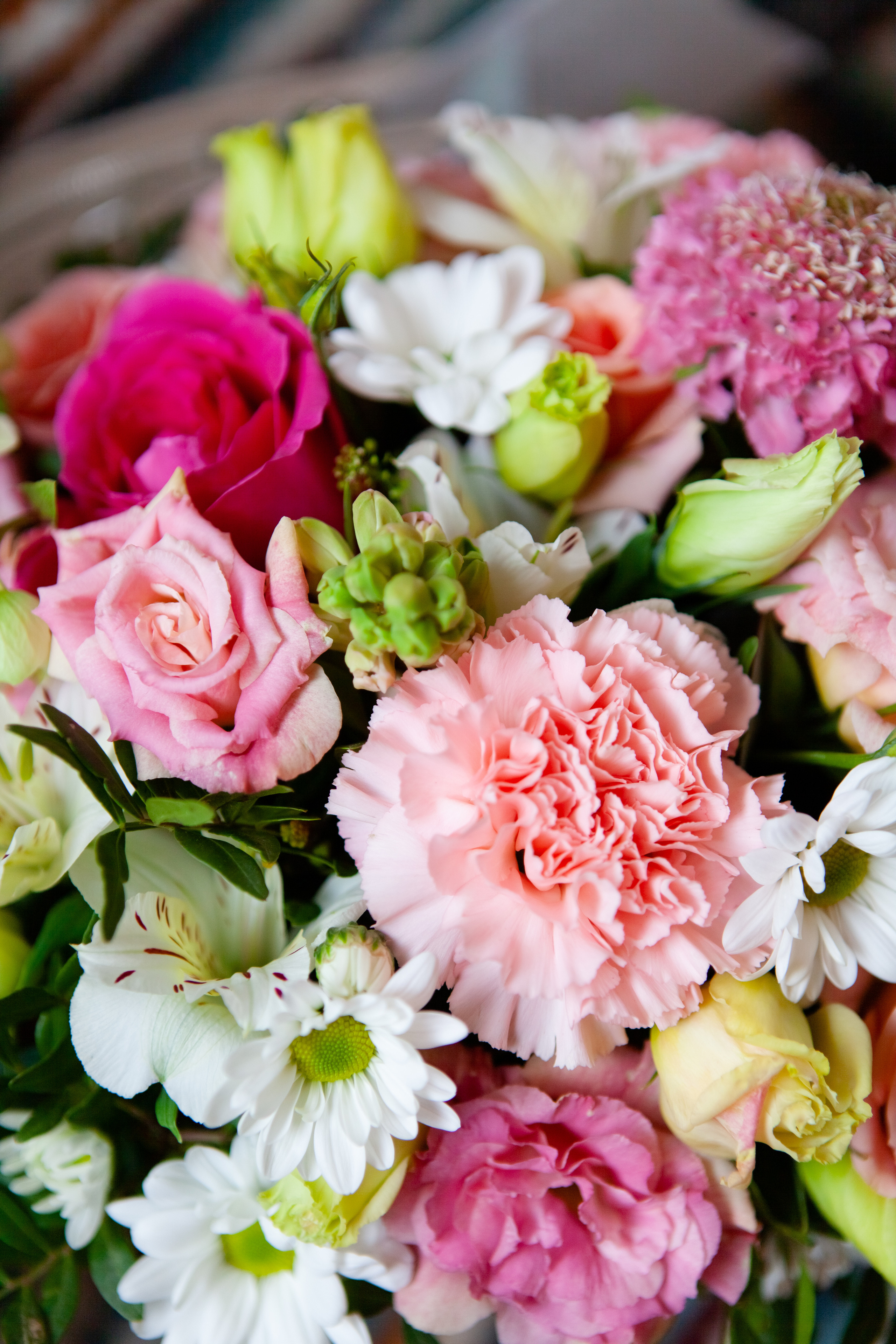 ДР В РАТАТУЙЕ. Фотограф на любое мероприятие