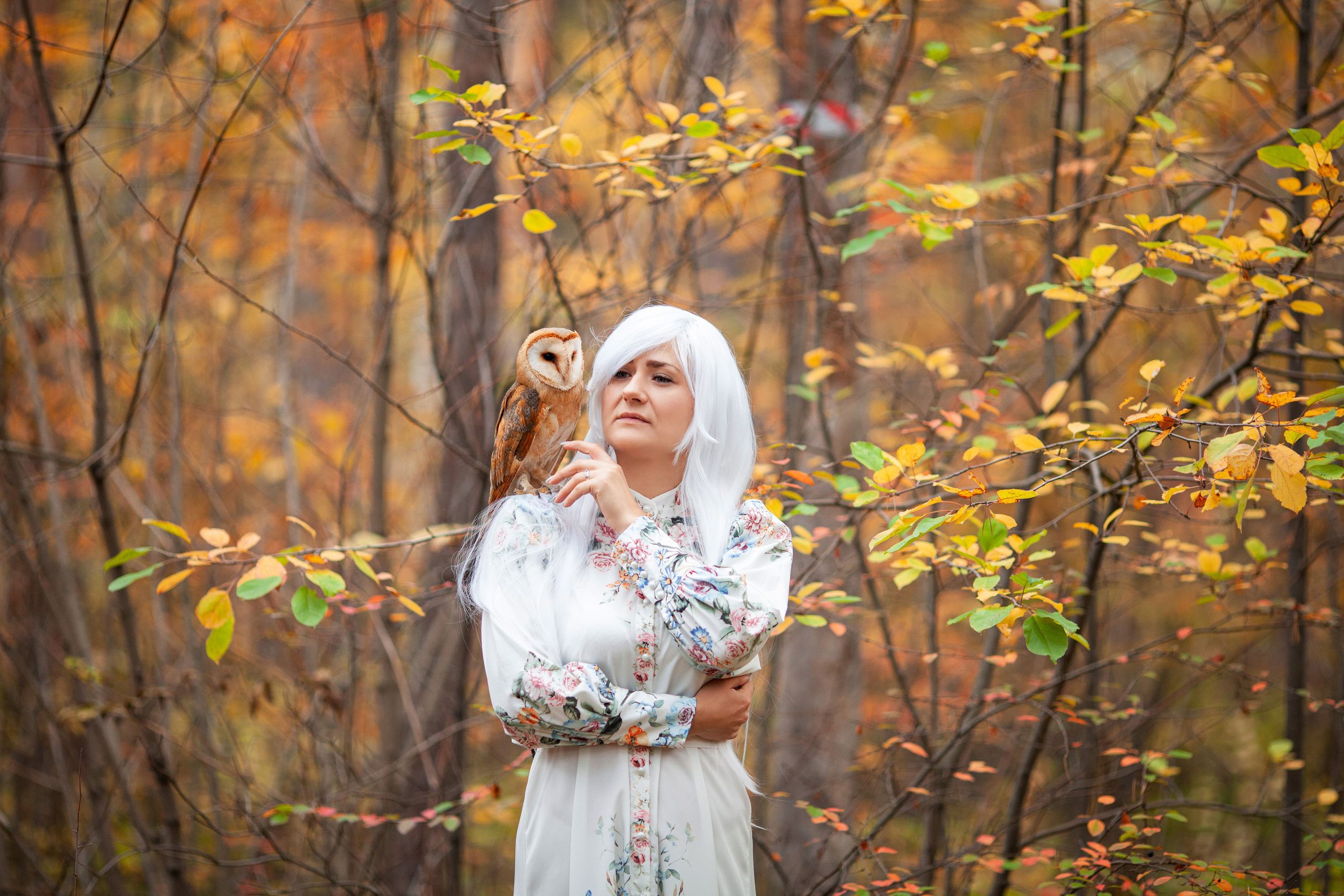 ОСЕННЯЯ СКАЗКА. Фотограф на любое мероприятие