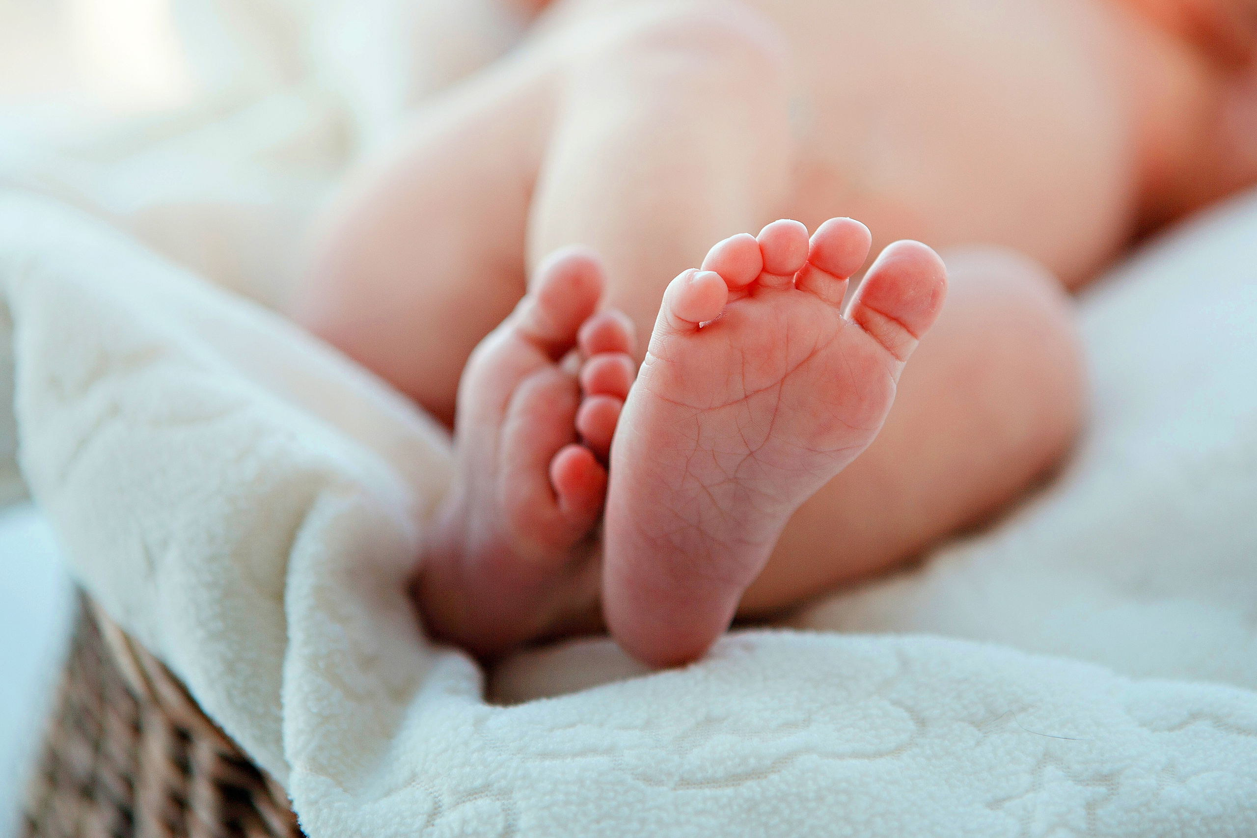 СЕМЬЯ. Фотограф на любое мероприятие