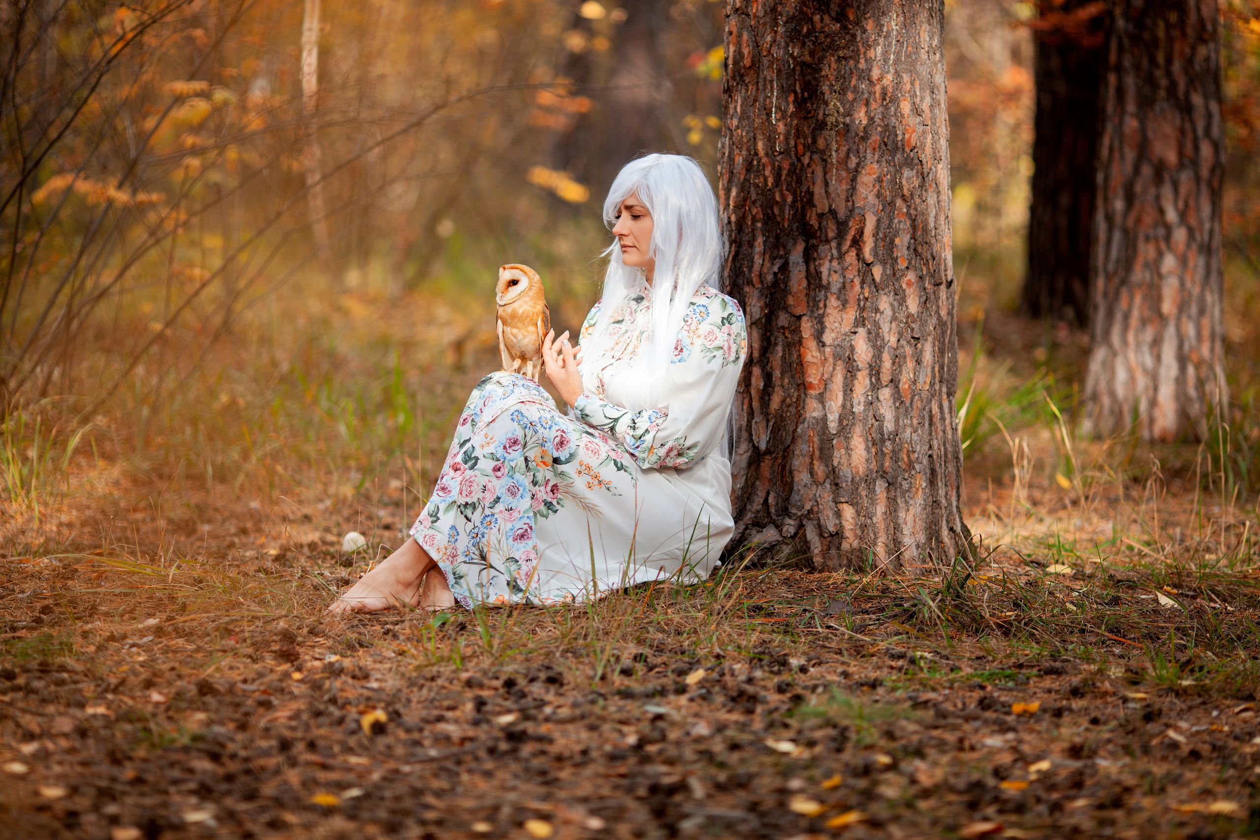 ОСЕННЯЯ СКАЗКА. Фотограф на любое мероприятие