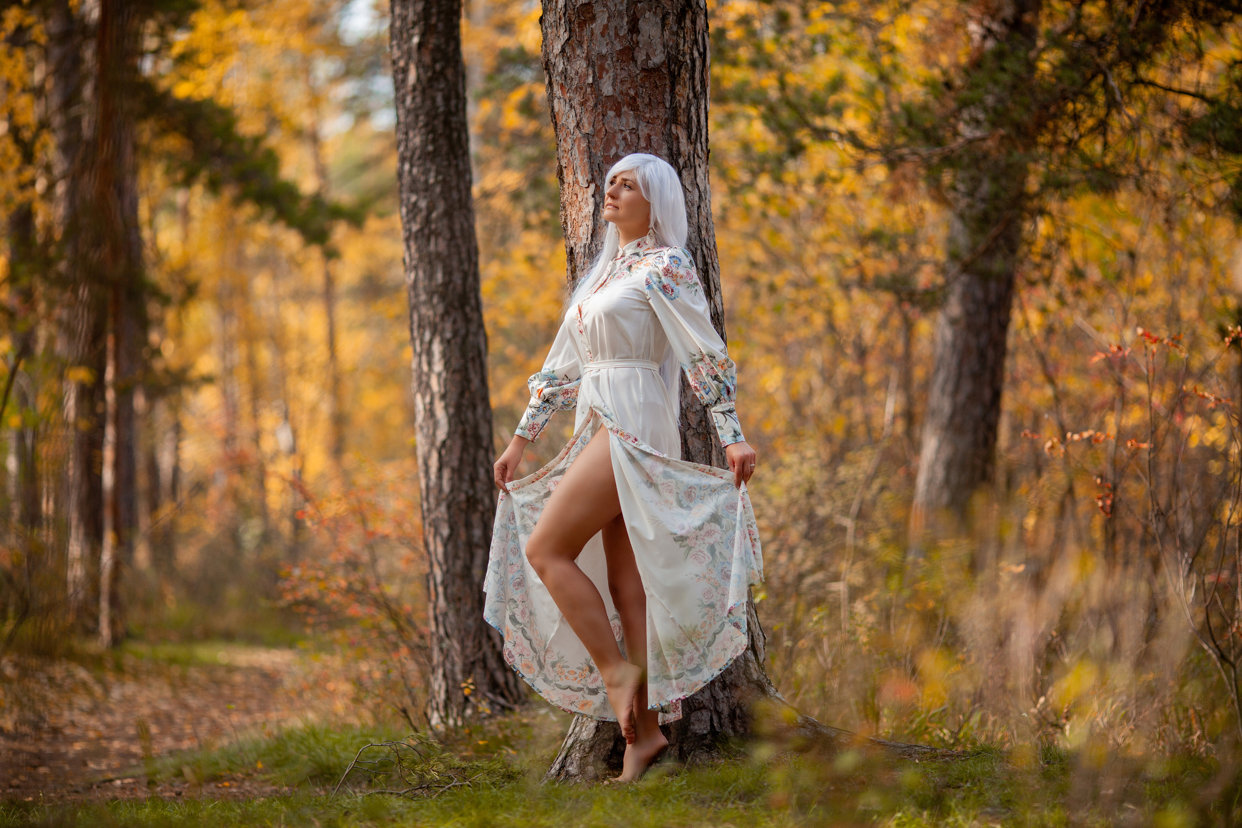 ОСЕННЯЯ СКАЗКА. Фотограф на любое мероприятие