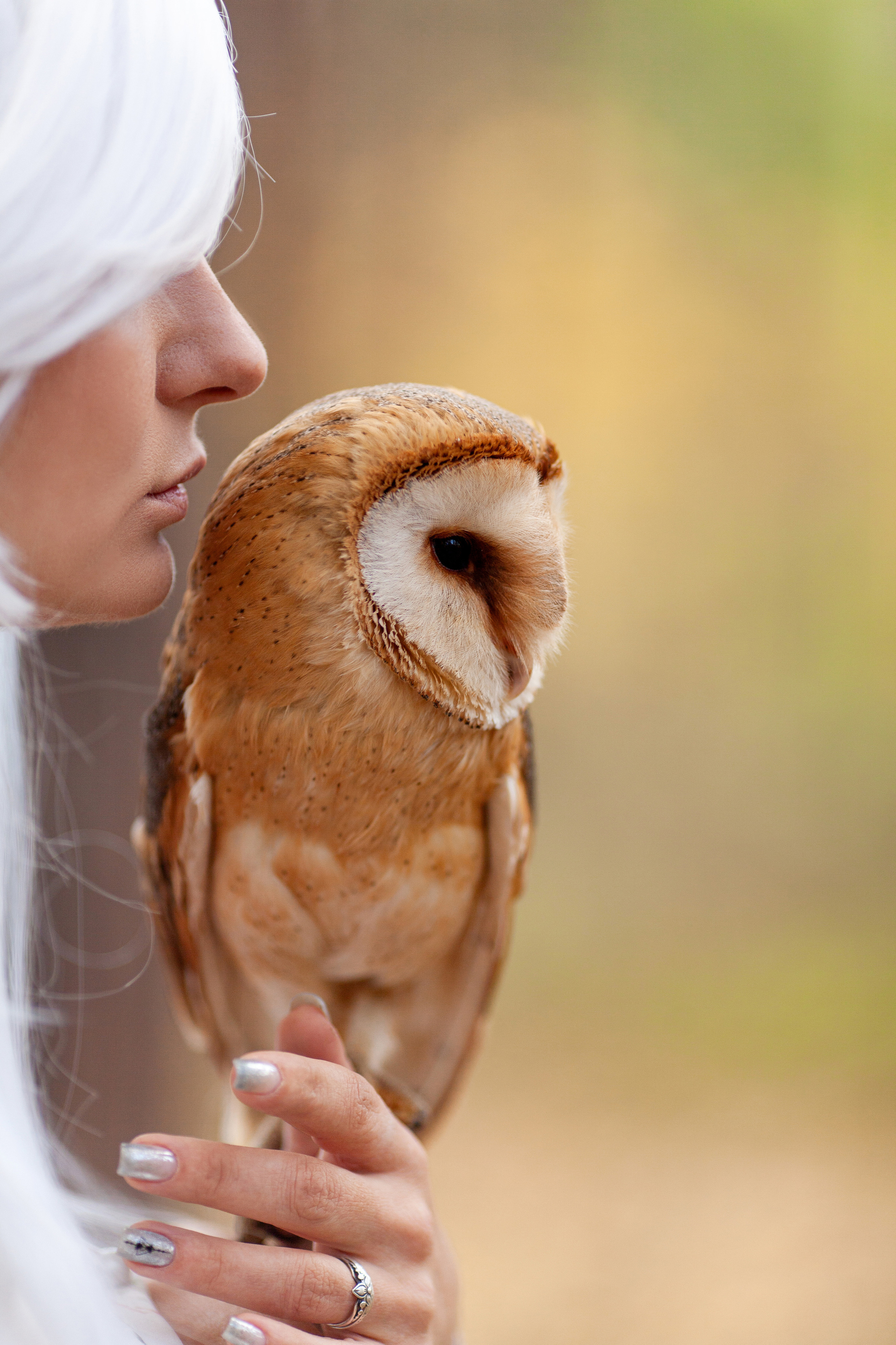 ОСЕННЯЯ СКАЗКА. Фотограф на любое мероприятие