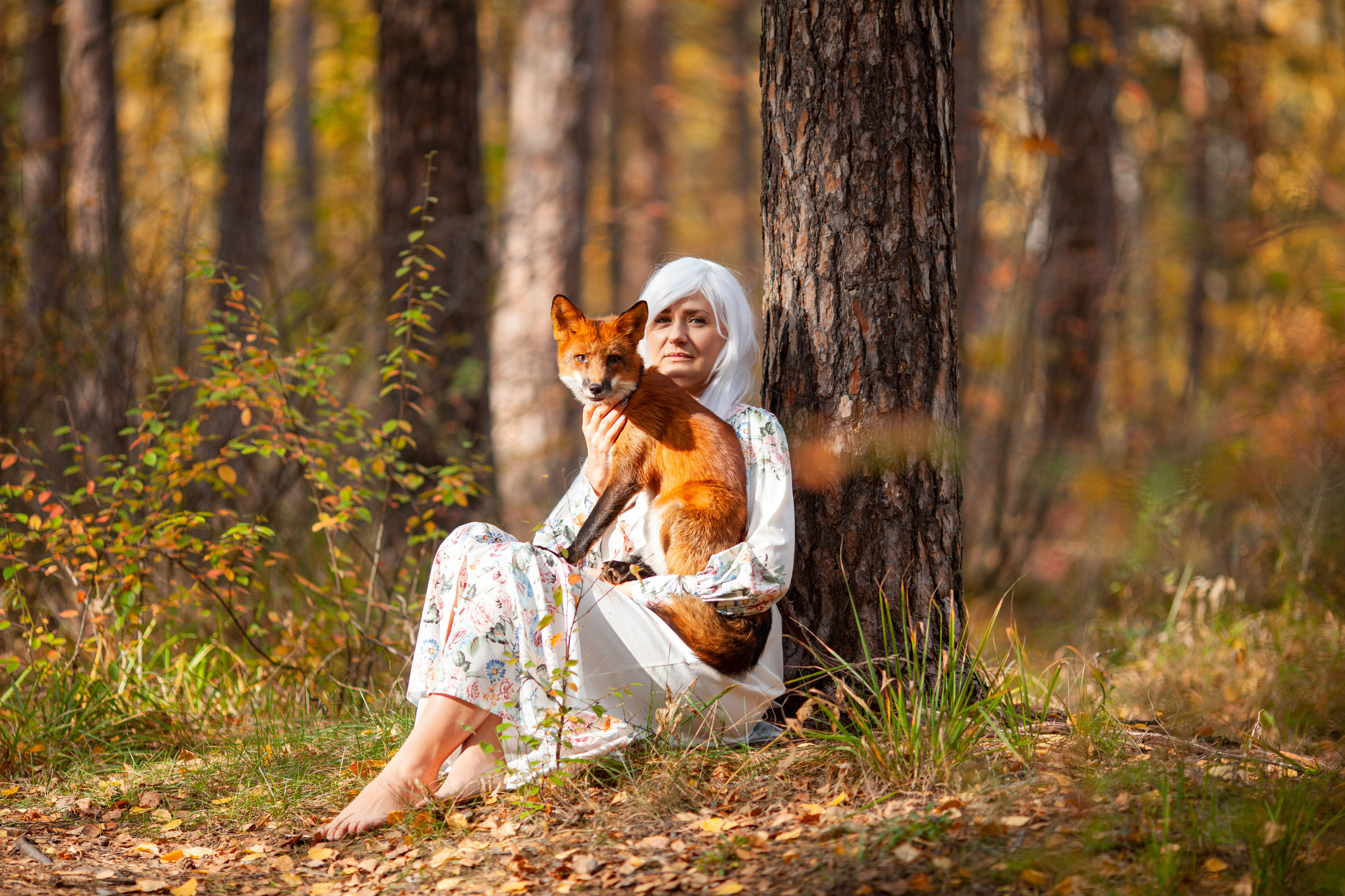 ОСЕННЯЯ СКАЗКА. Фотограф на любое мероприятие