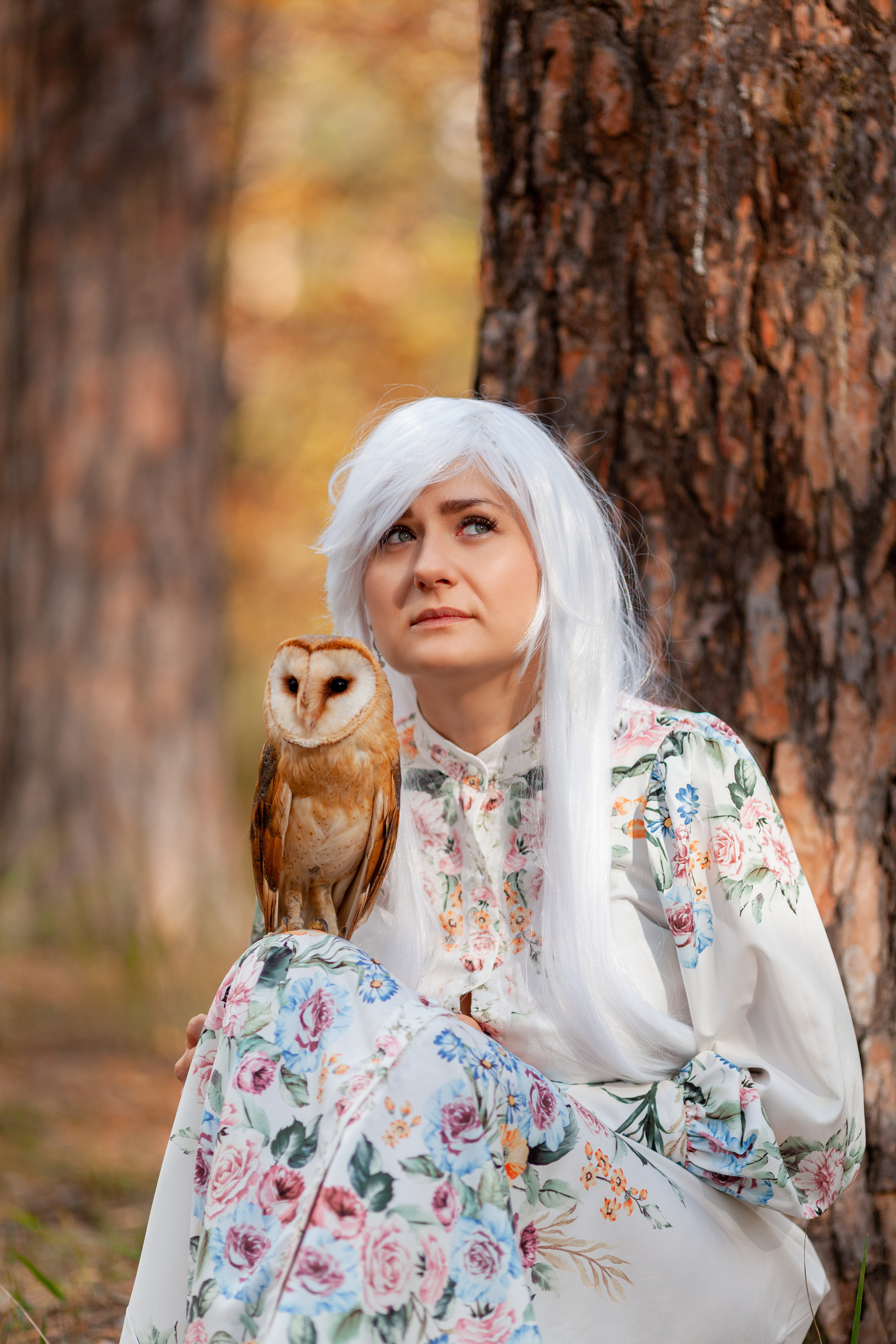 ОСЕННЯЯ СКАЗКА. Фотограф на любое мероприятие