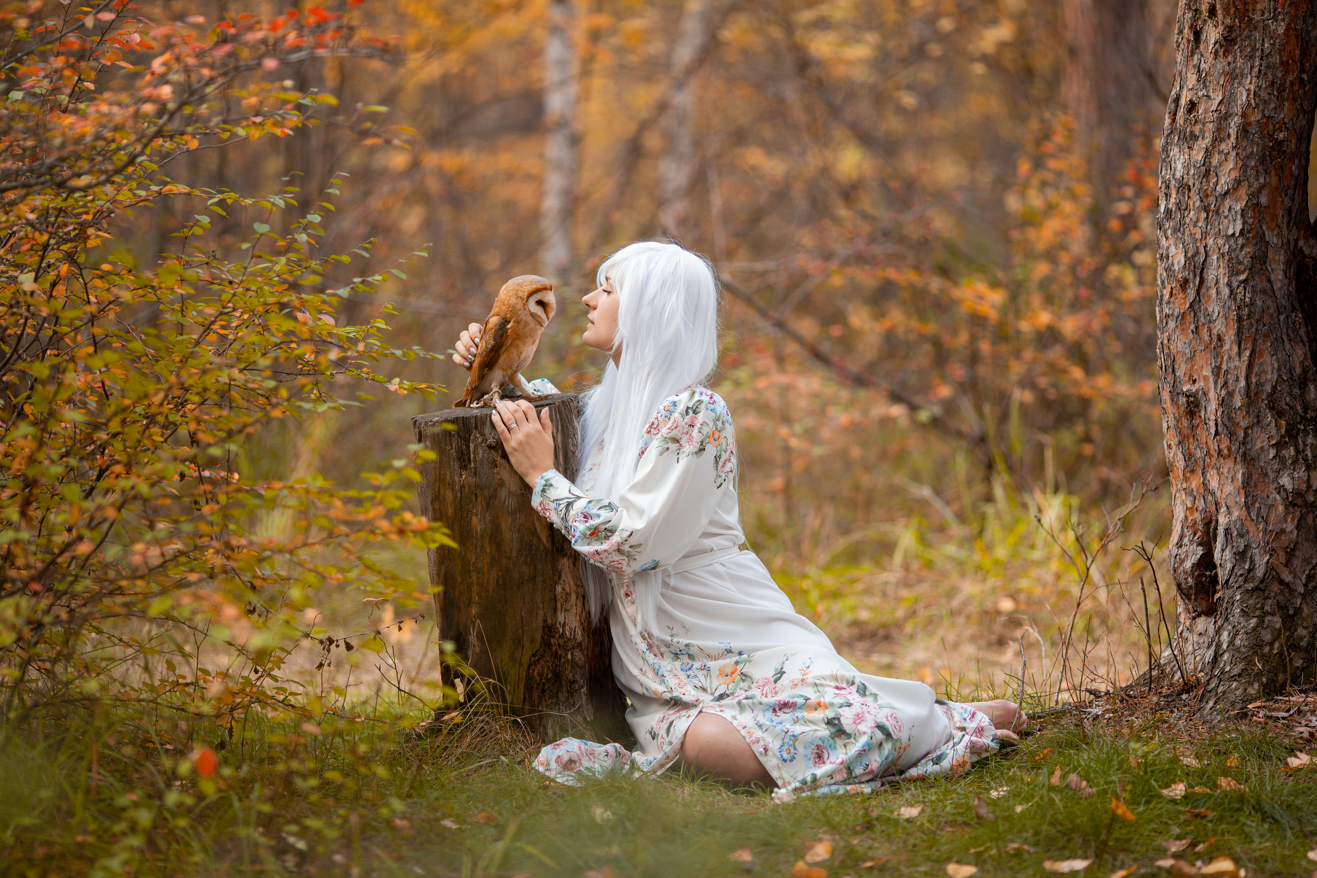 ОСЕННЯЯ СКАЗКА. Фотограф на любое мероприятие