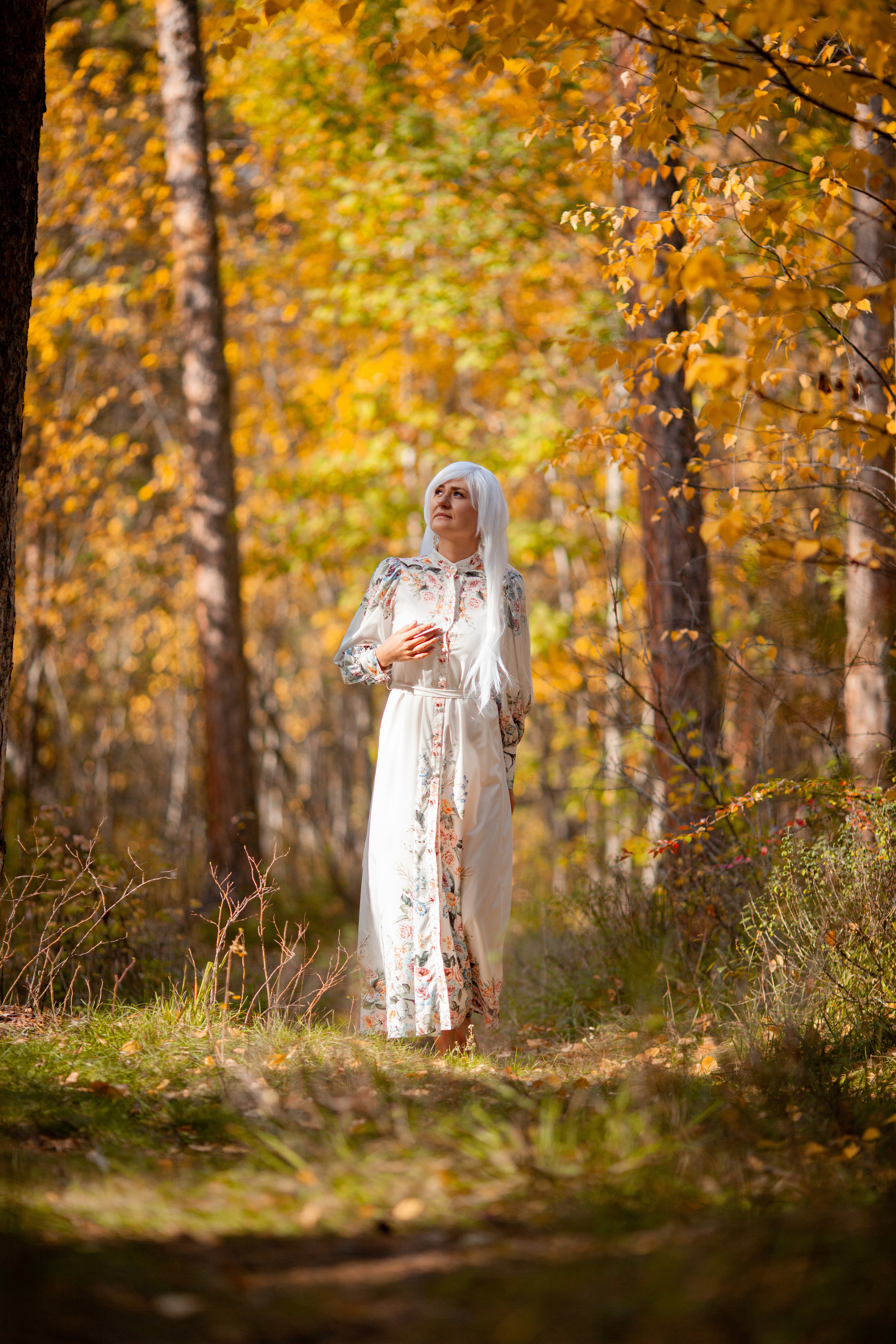ОСЕННЯЯ СКАЗКА. Фотограф на любое мероприятие