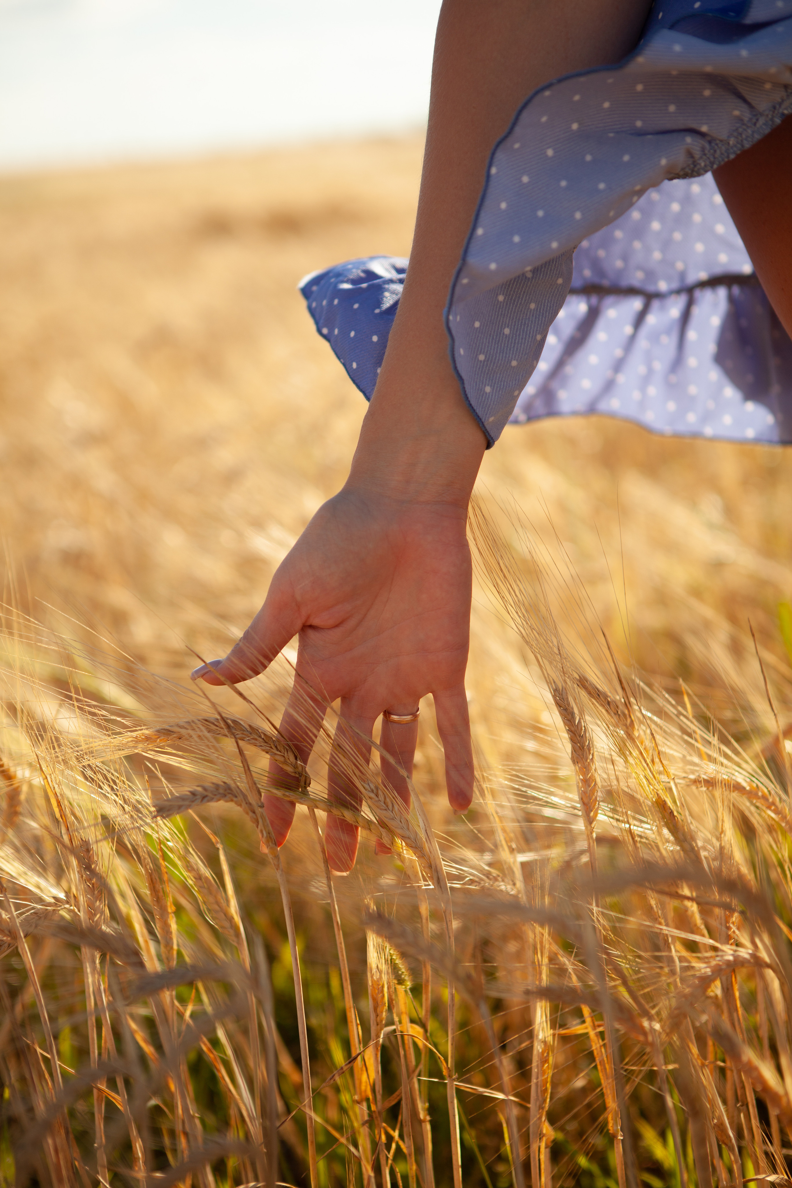 СЕМЬЯ. Фотограф на любое мероприятие