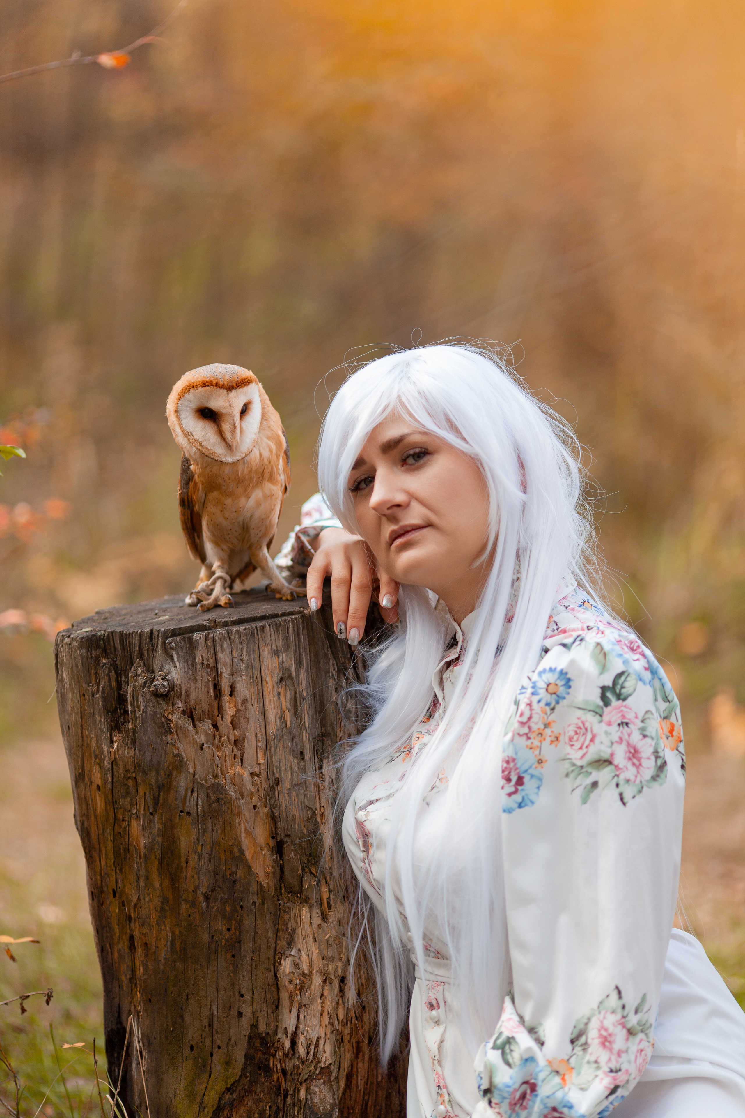 ОСЕННЯЯ СКАЗКА. Фотограф на любое мероприятие