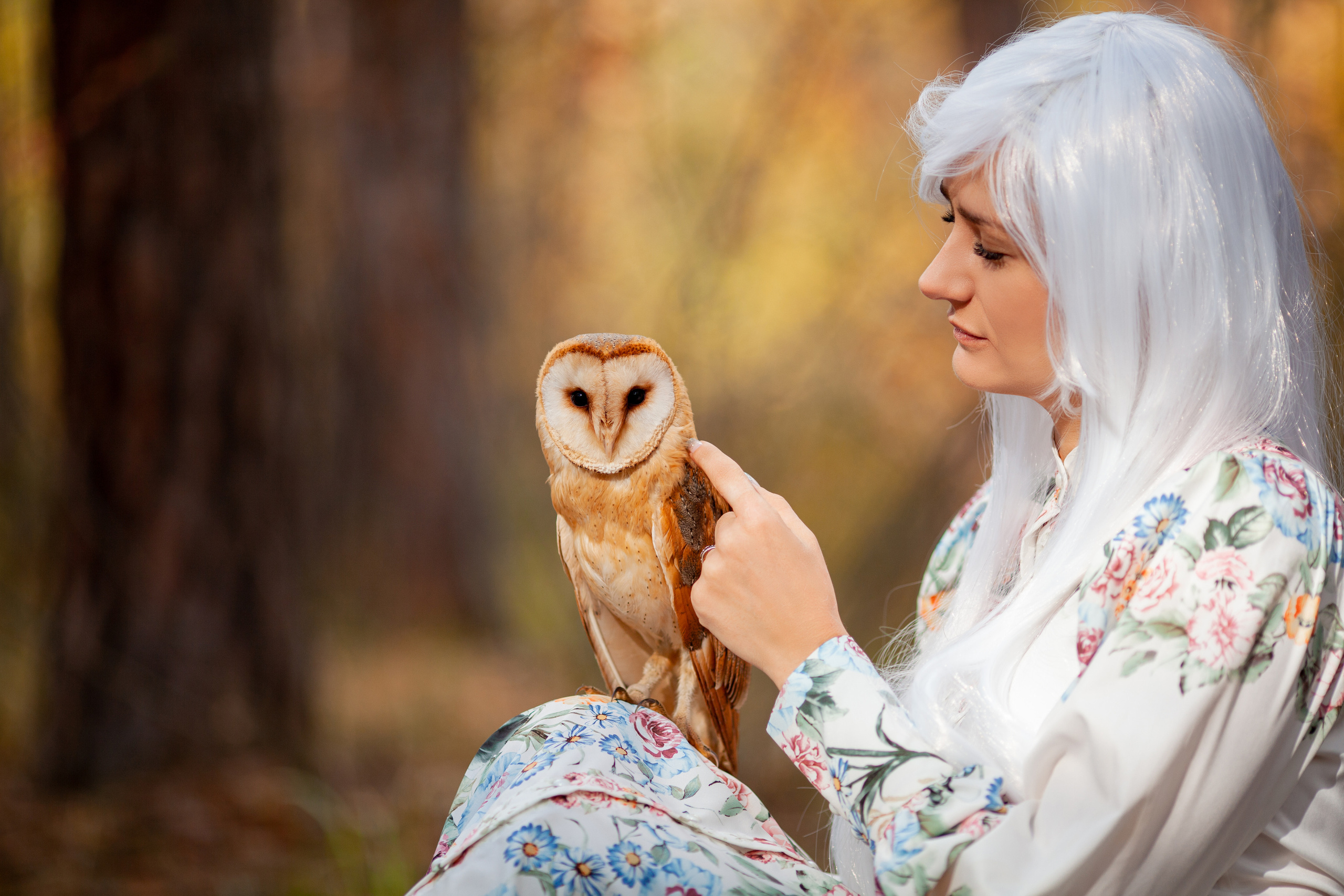 ОСЕННЯЯ СКАЗКА. Фотограф на любое мероприятие