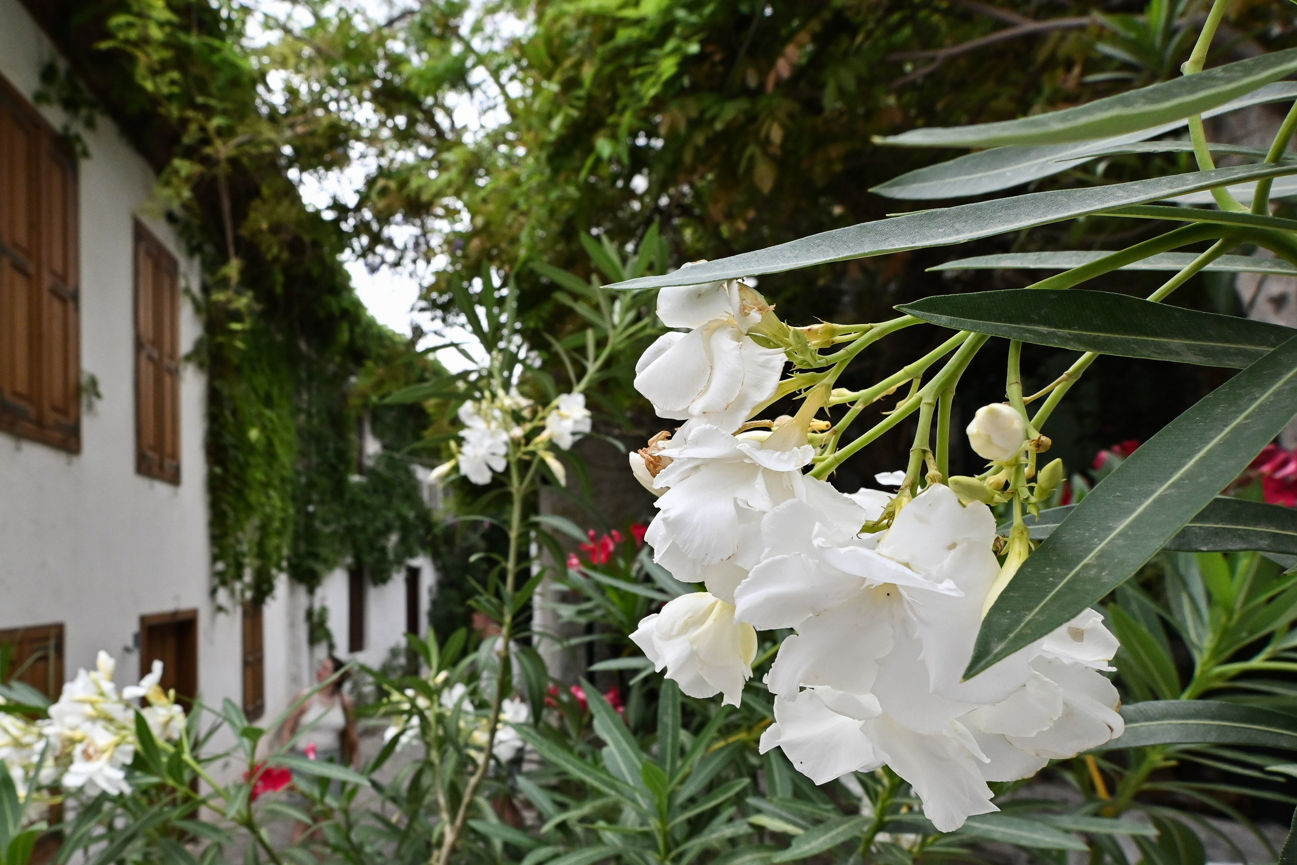 Тревел фото