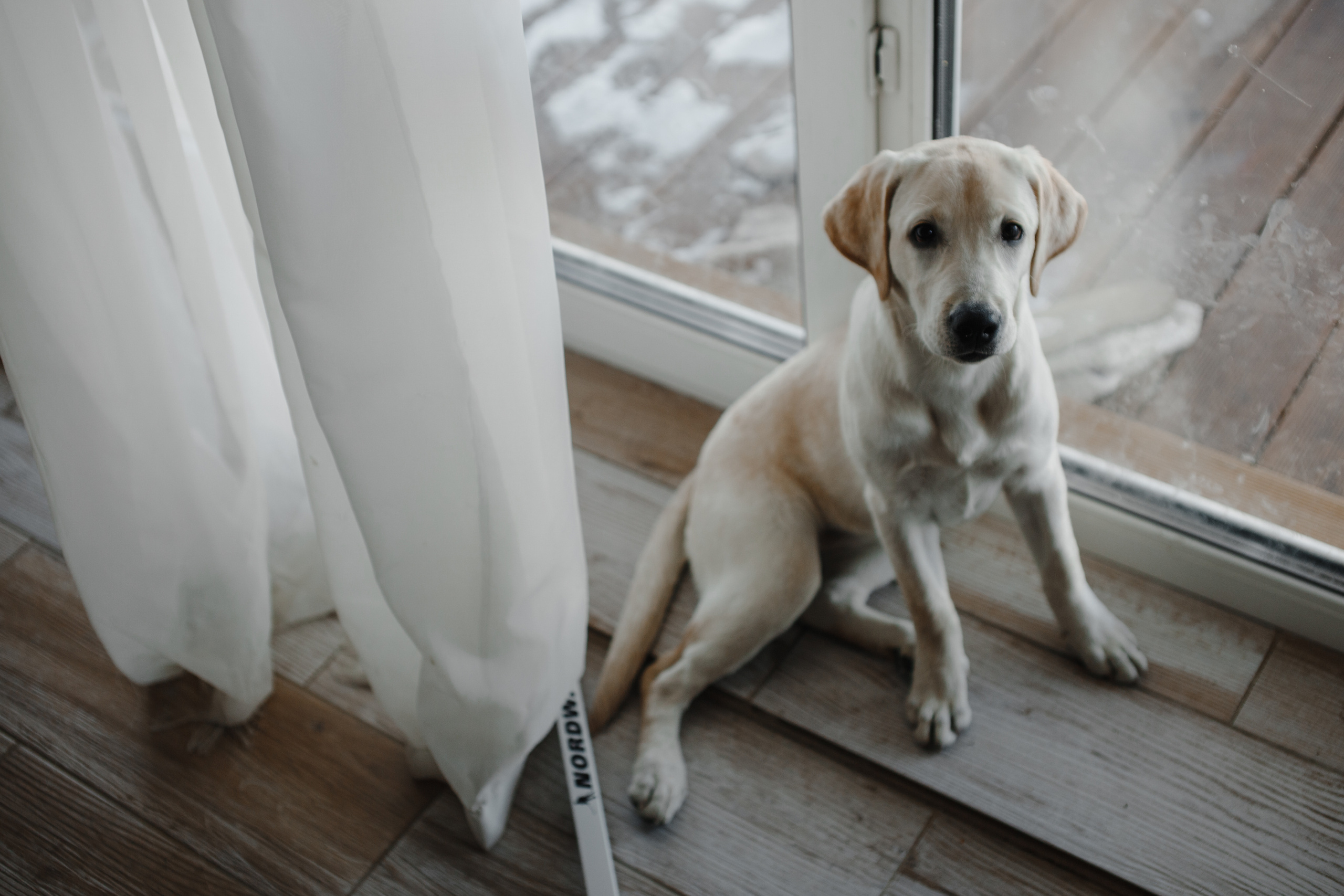 Мы как будто из IKEA. Свадебный и семейный фотограф Ижевск