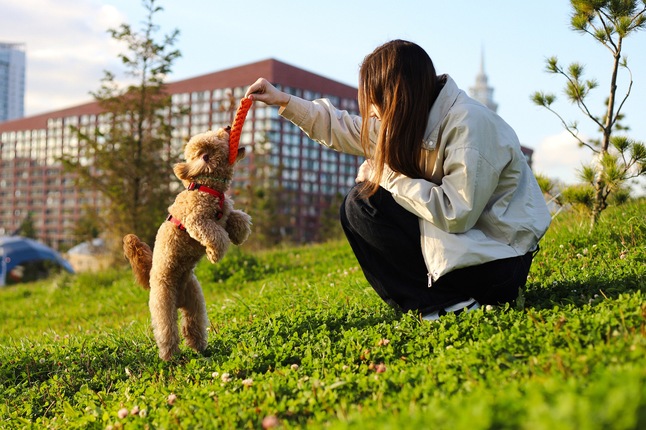Поршик и Ксения. Фотограф-анималист Ксения Шевцова|Москва