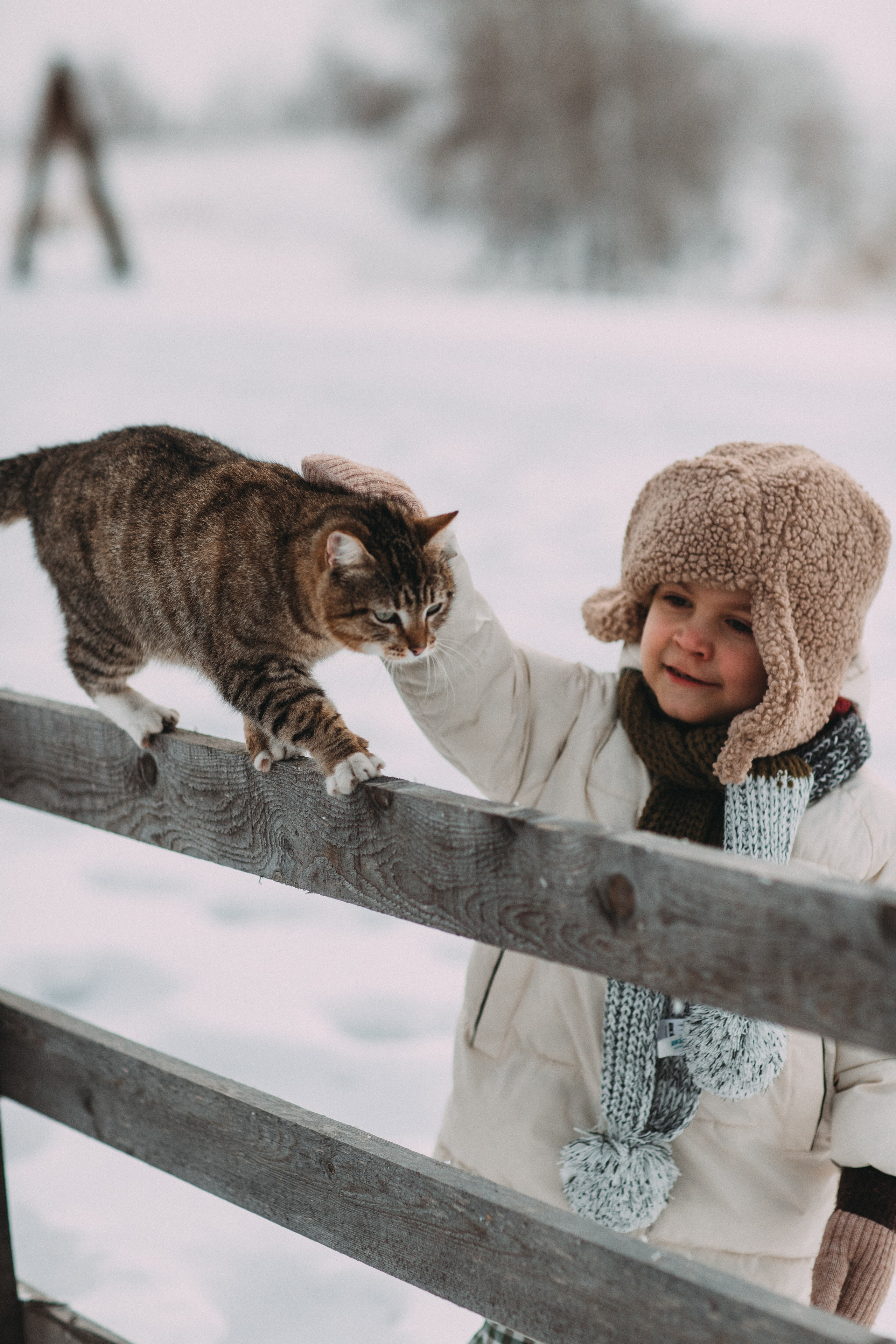 Треугольный домик. Главная