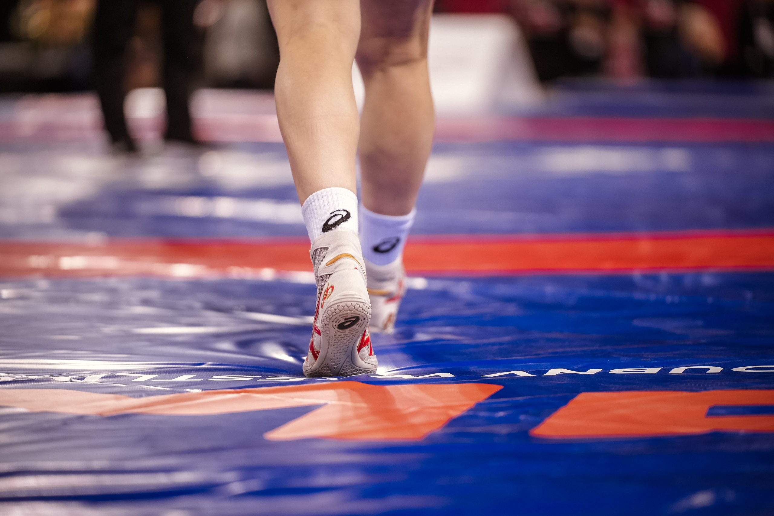 Кубок Ивана Ярыгина 2025 фотографии / ivan yarygin cup 2025 photos. Фотограф Анна Герман. Красноярск