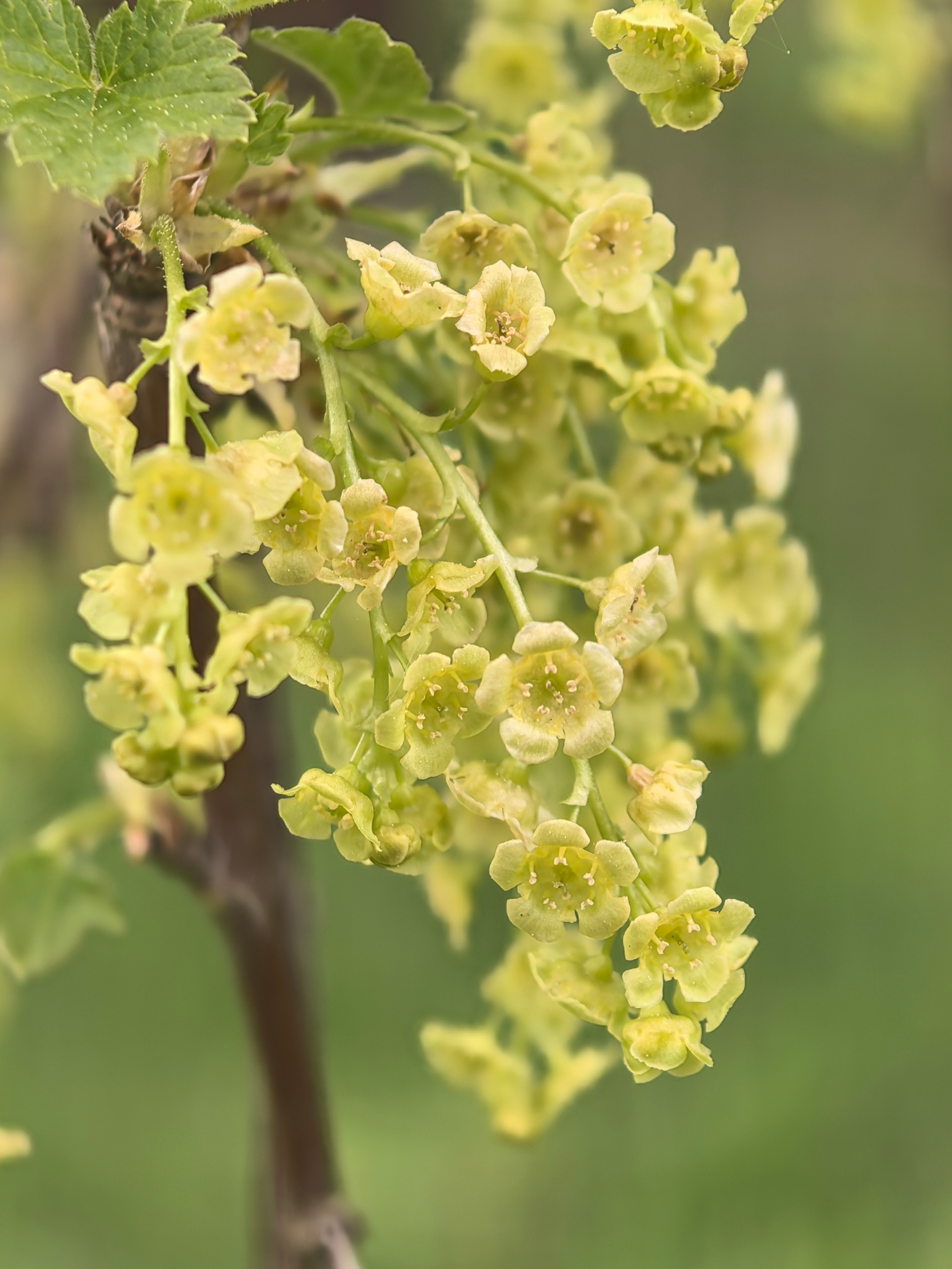 ПочтиМАКРО. Школьные выпускные альбомы в Москве Марина Николаева