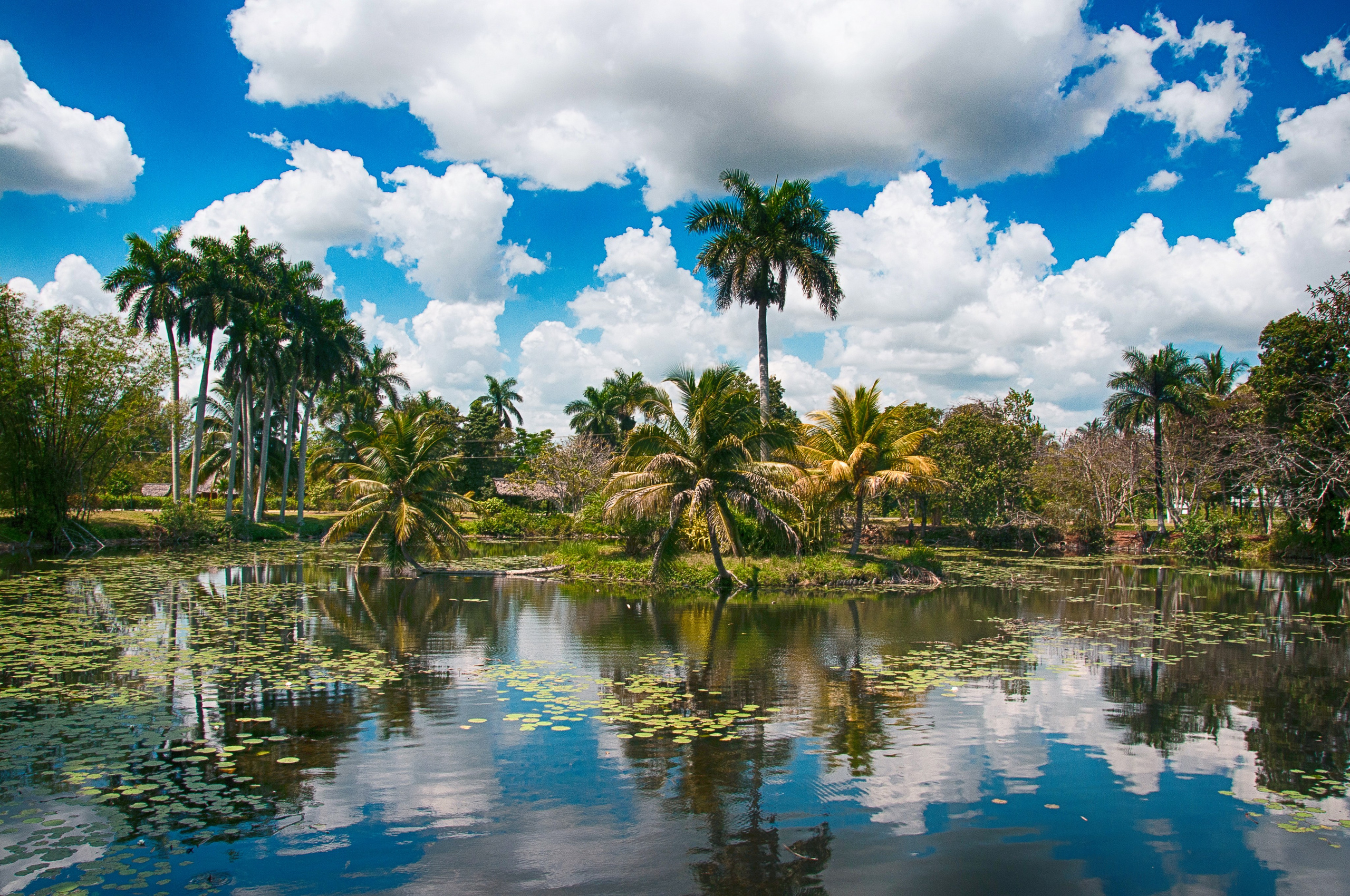 Куба (альбом наполняется…). Фотограф в Москве, в Самаре Инна Мамонова