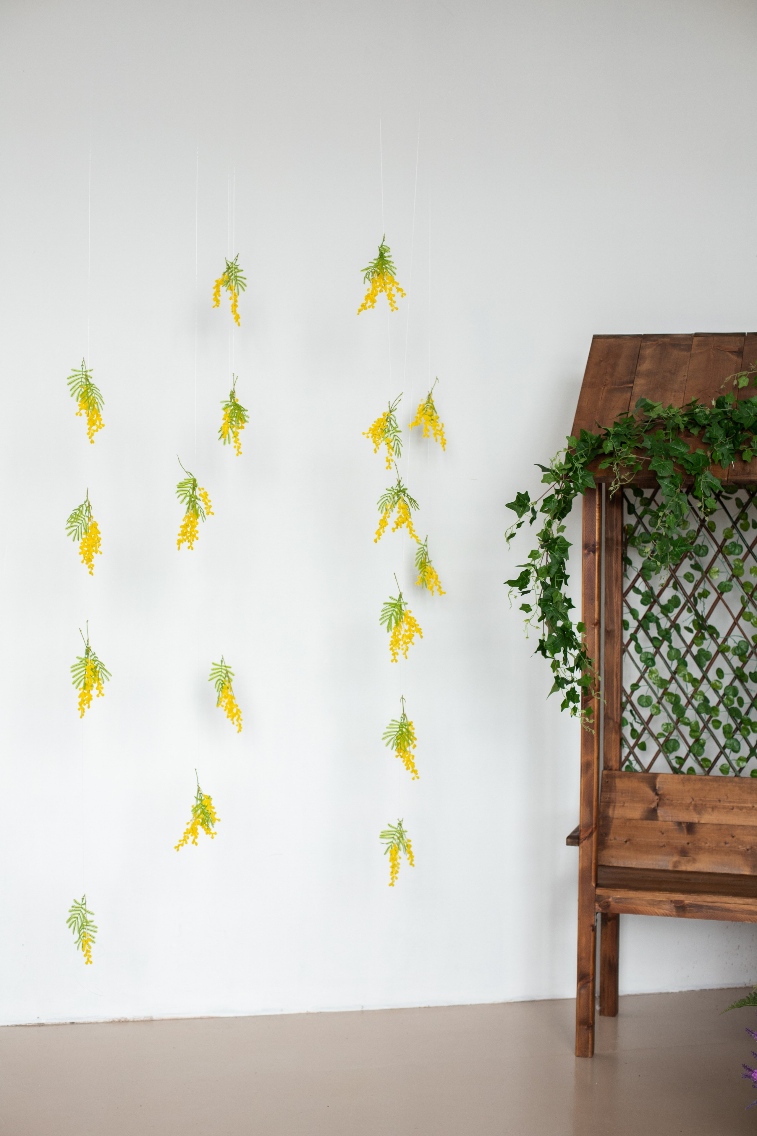 Буфет (студия Зеркало). Фотограф г. Хабаровск. Семейные и индивидуальные съёмки