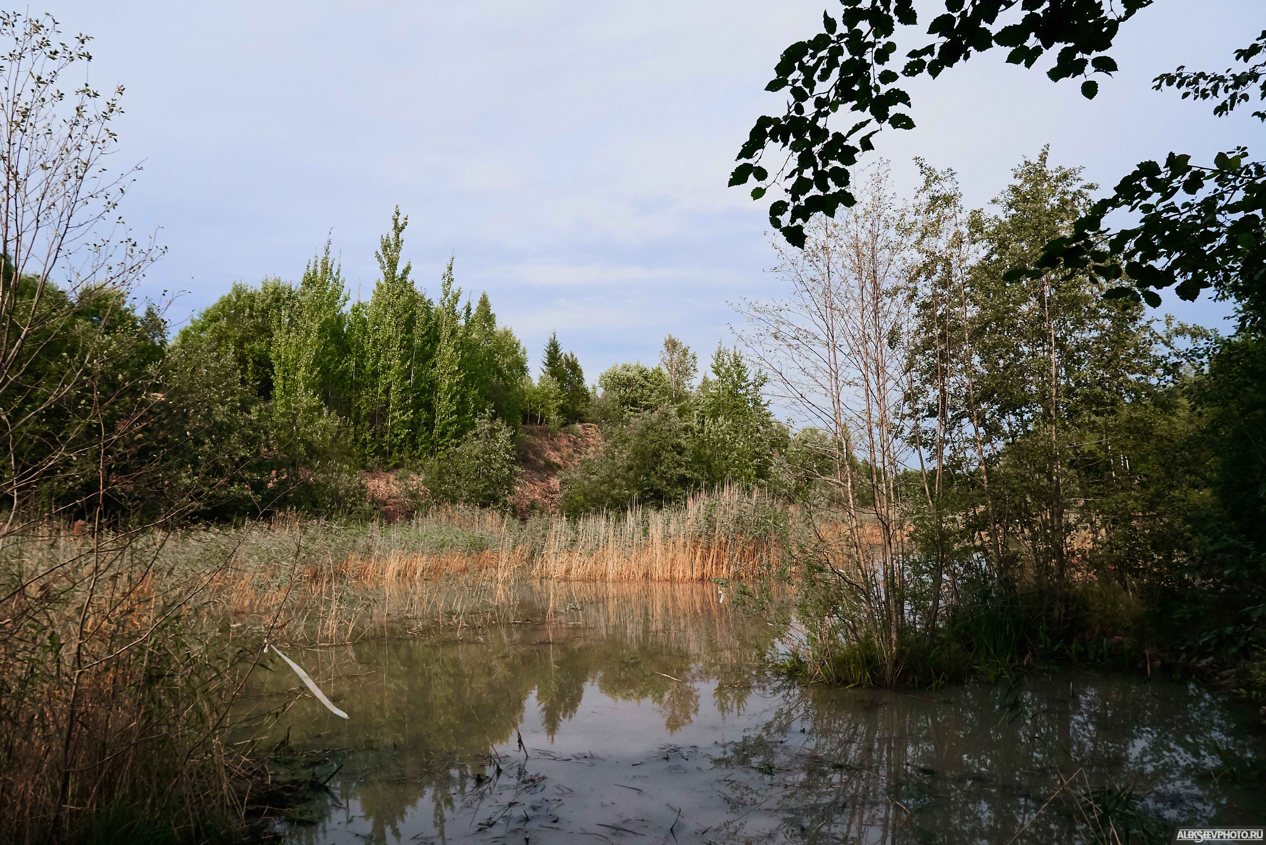 2018.08.25-26 — Братина-трофи. Фотограф Алексей Алексеев