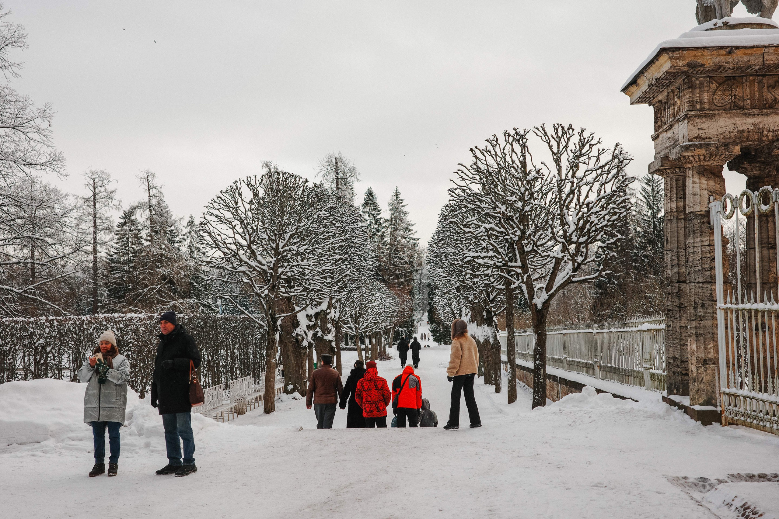 2025.02. Фотограф Алексей Алексеев